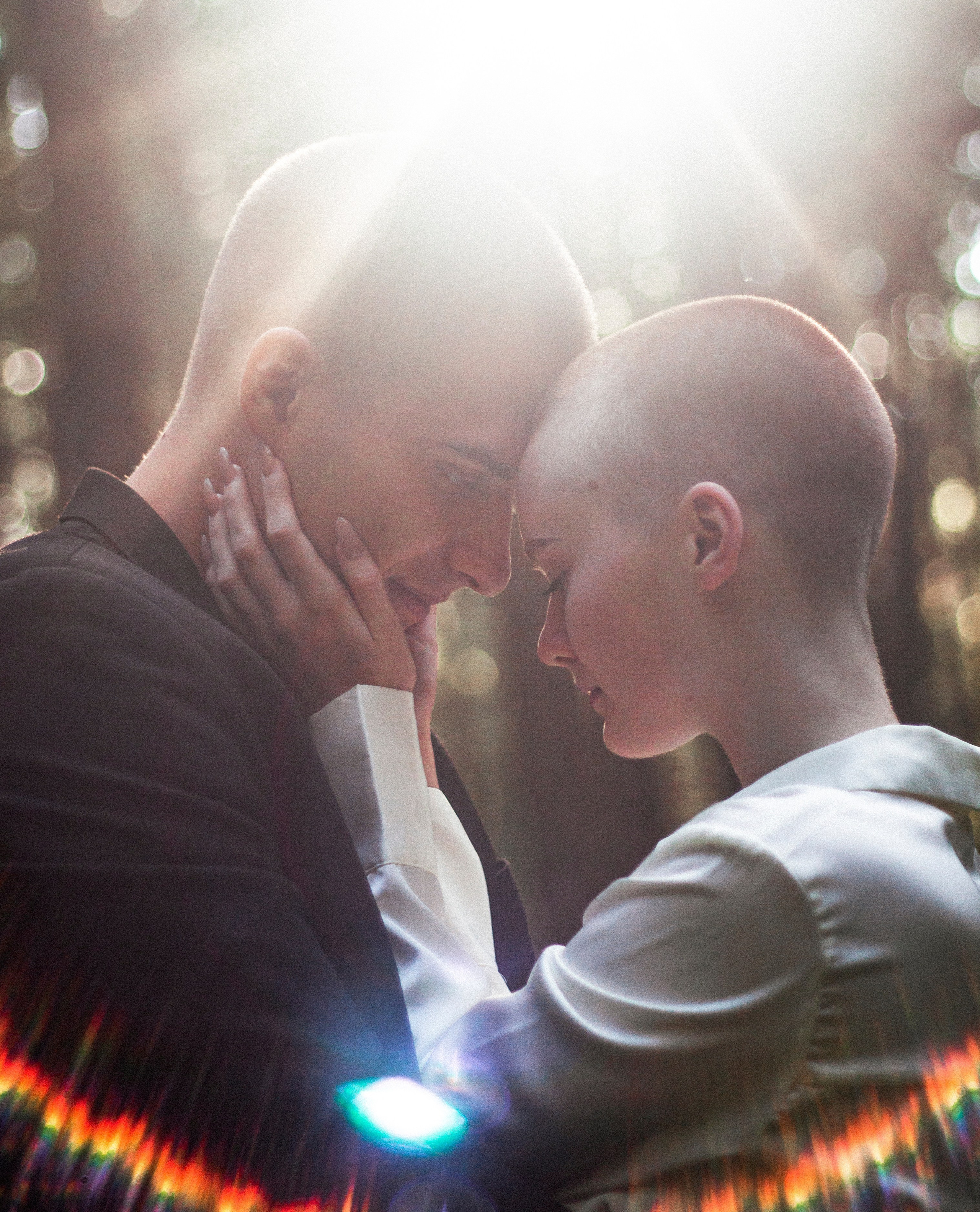 Pigeons`. Художественный деятель | фотограф