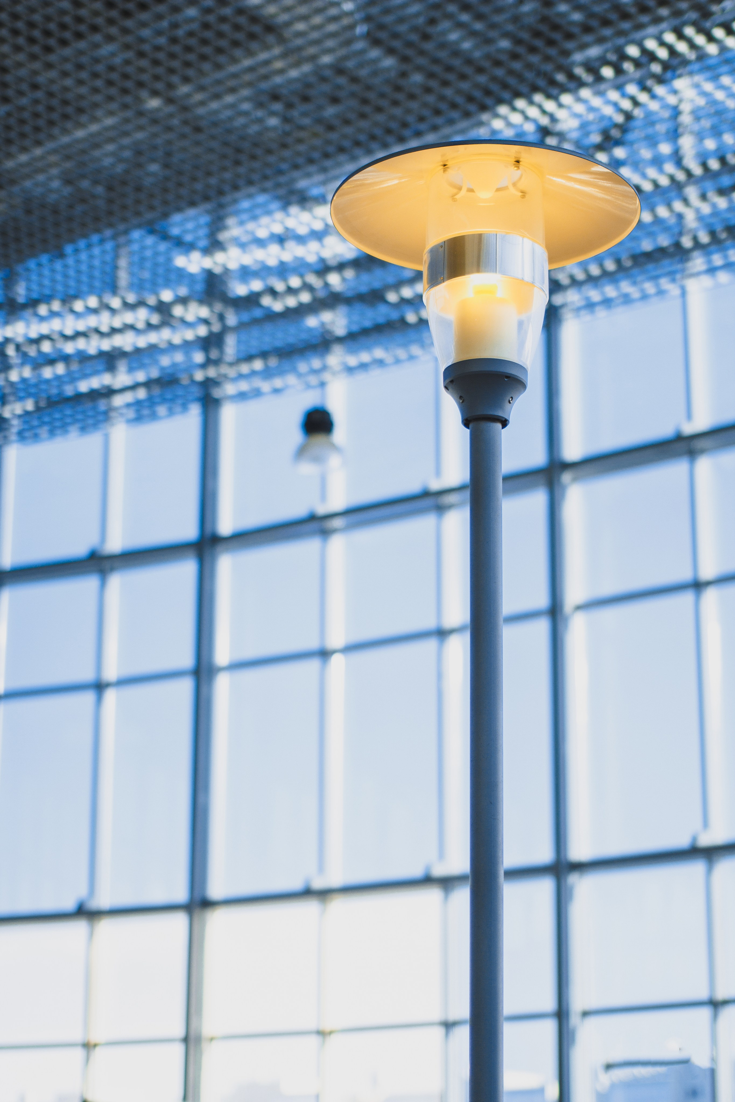 ЦВЕТНЫЕ ФОТОГРАФИИ. Никита Аничкин фото и видео оператор из России