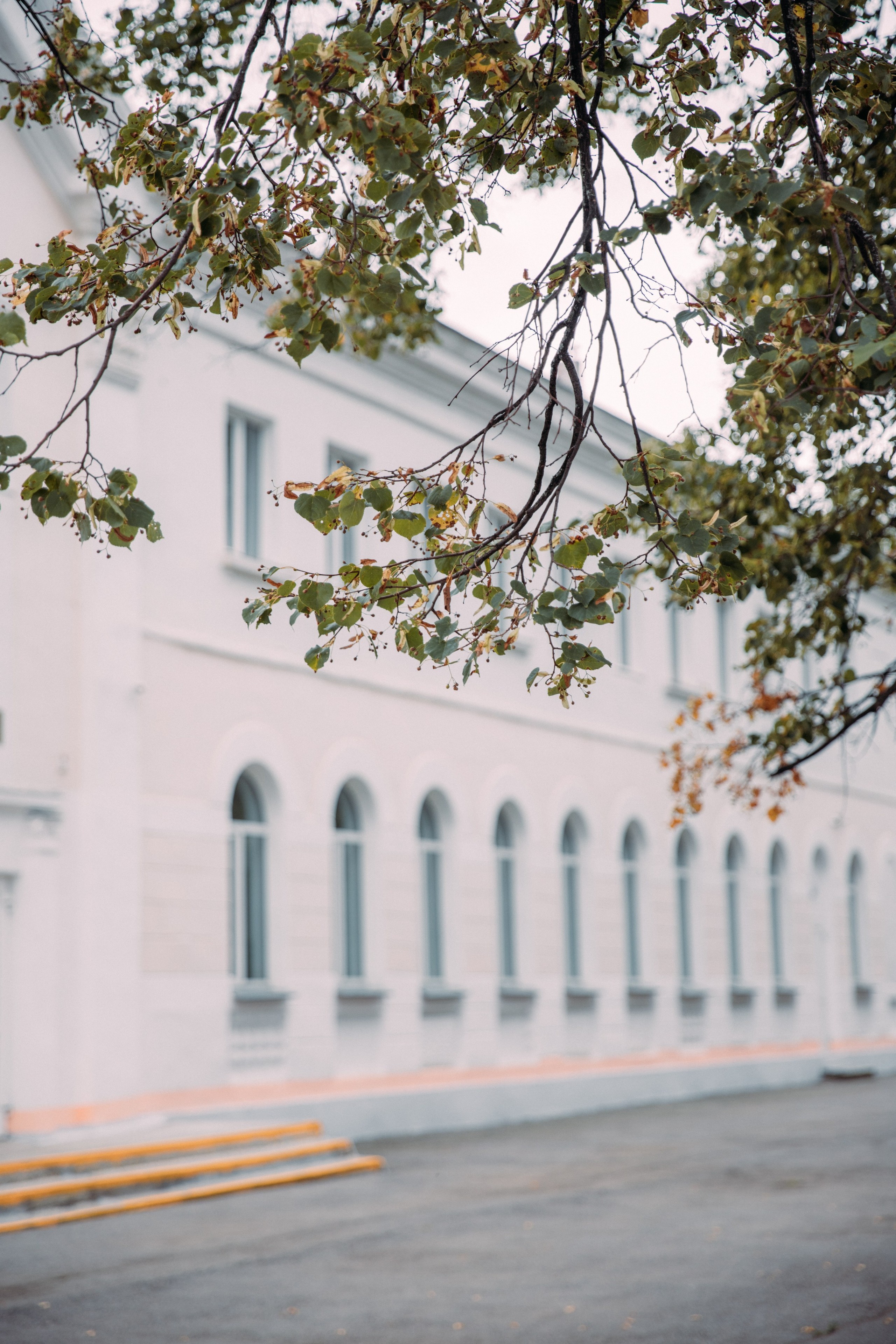 Елена и Вячеслав. Фотограф Анастасия Петрова