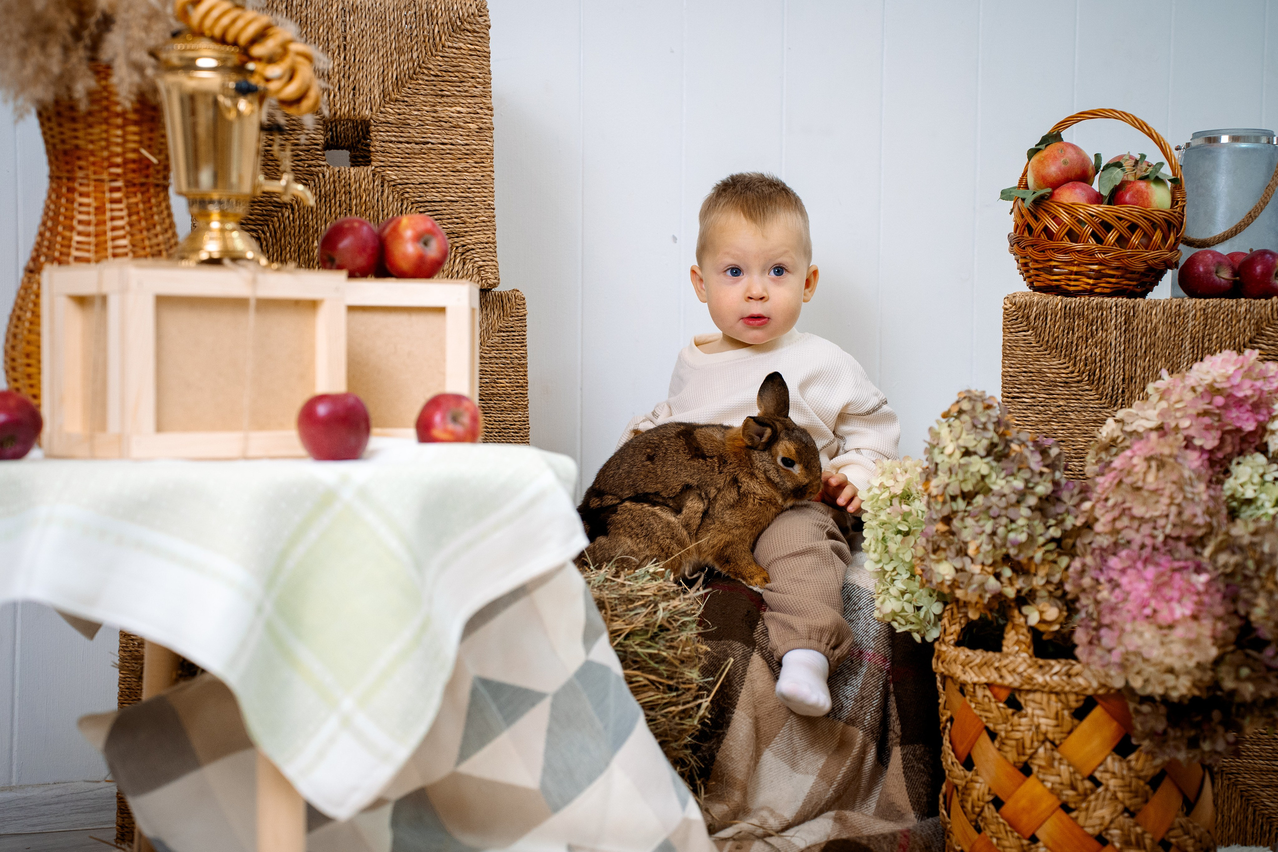 Кролик. Фотограф Казакова Анастасия