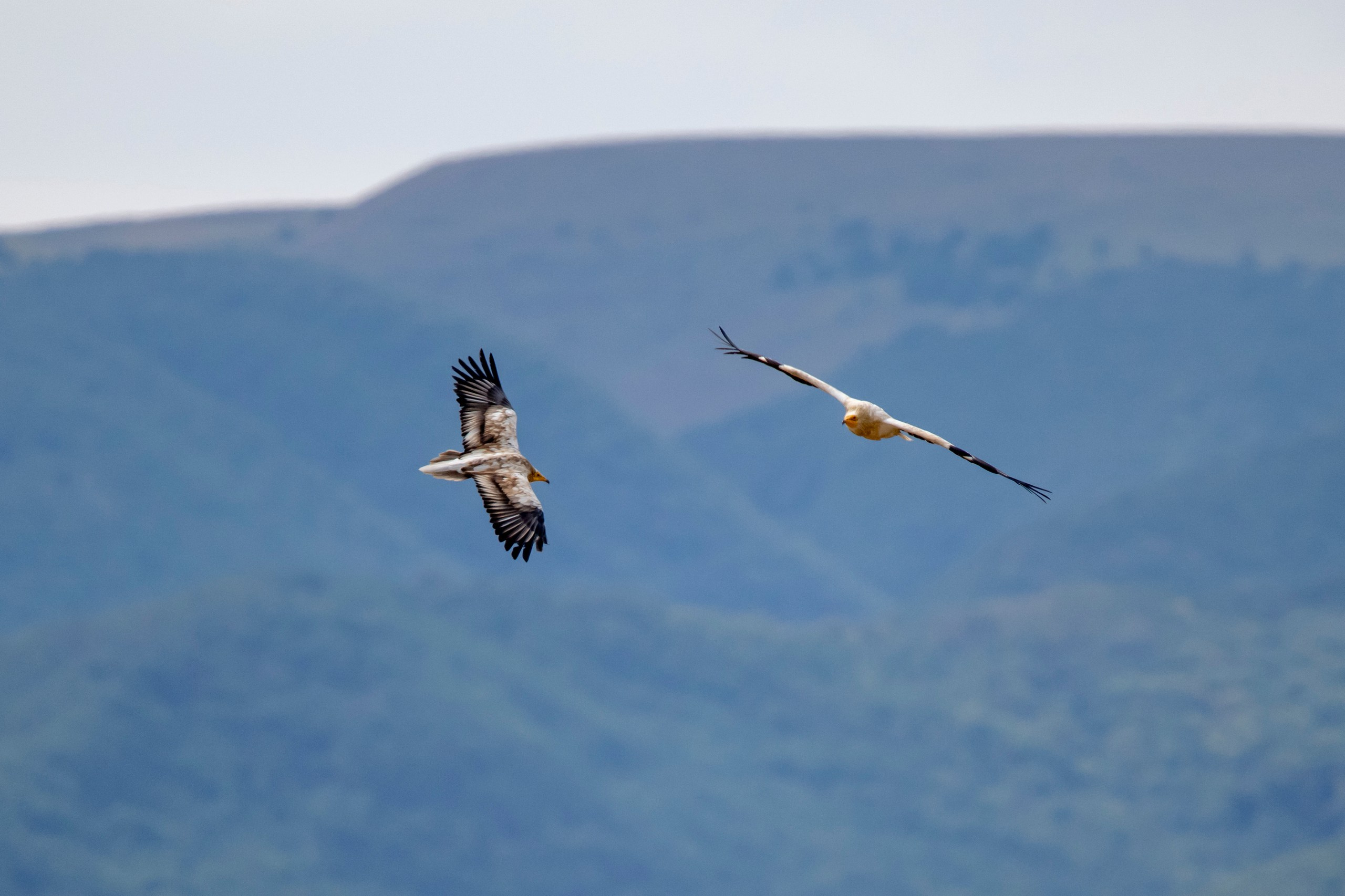 Природа Дагестана, сентябрь 2024. Foto-Zuev фотография как искусство