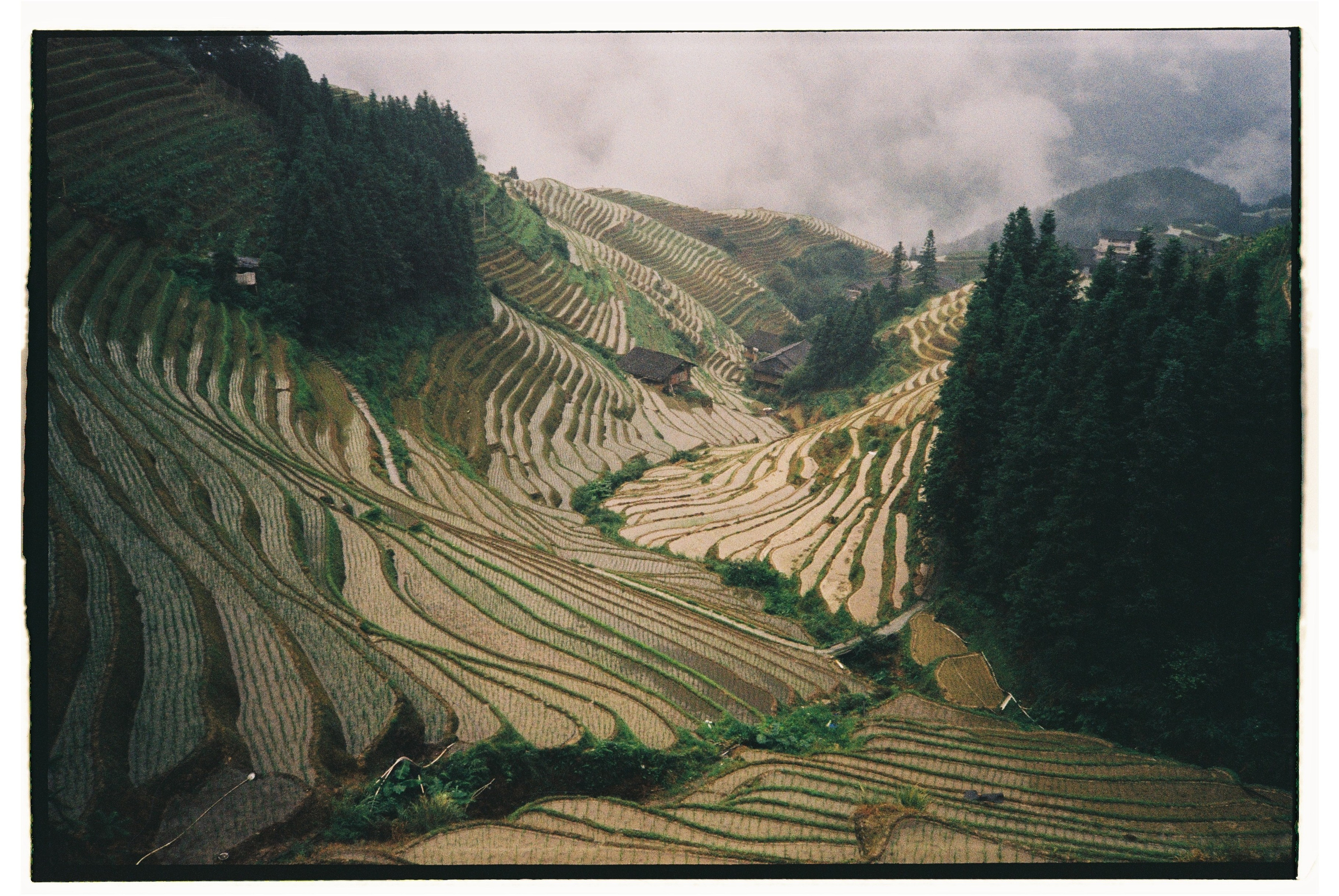 Asia. Olya Filina | Moscow Photographer