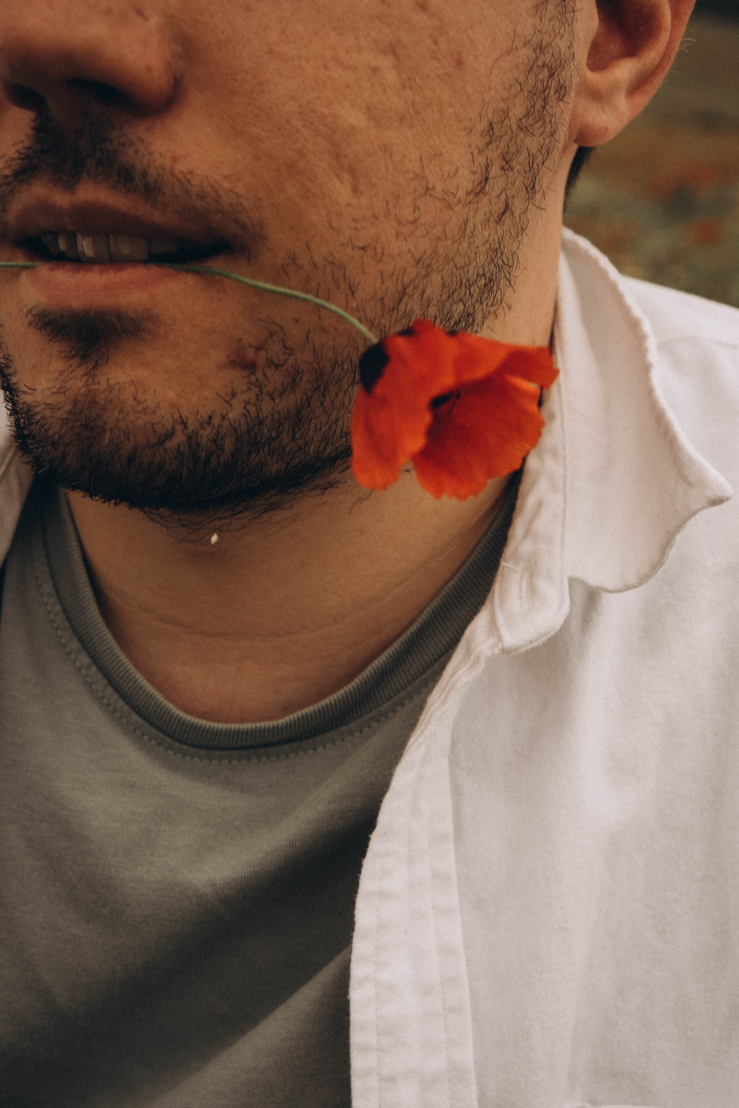 Маки. Профессиональный фотограф, Санкт-Петербург — Виктория Богомолова