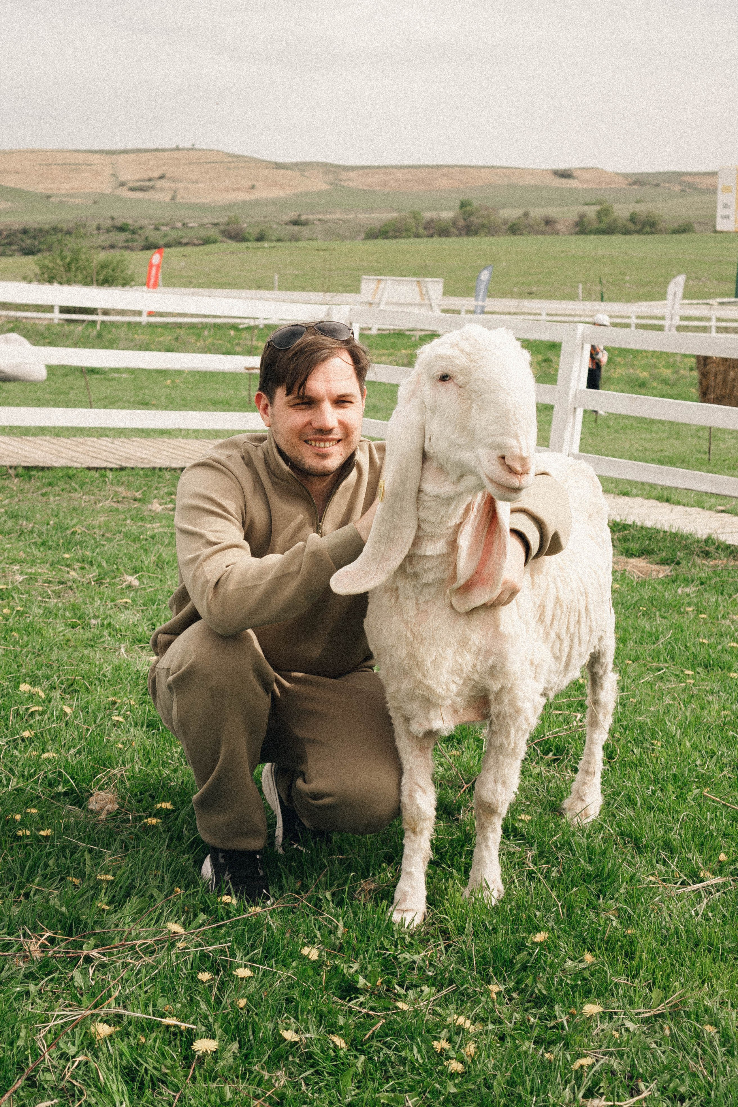 Ферма Альпак. Профессиональный фотограф, Санкт-Петербург — Виктория Богомолова