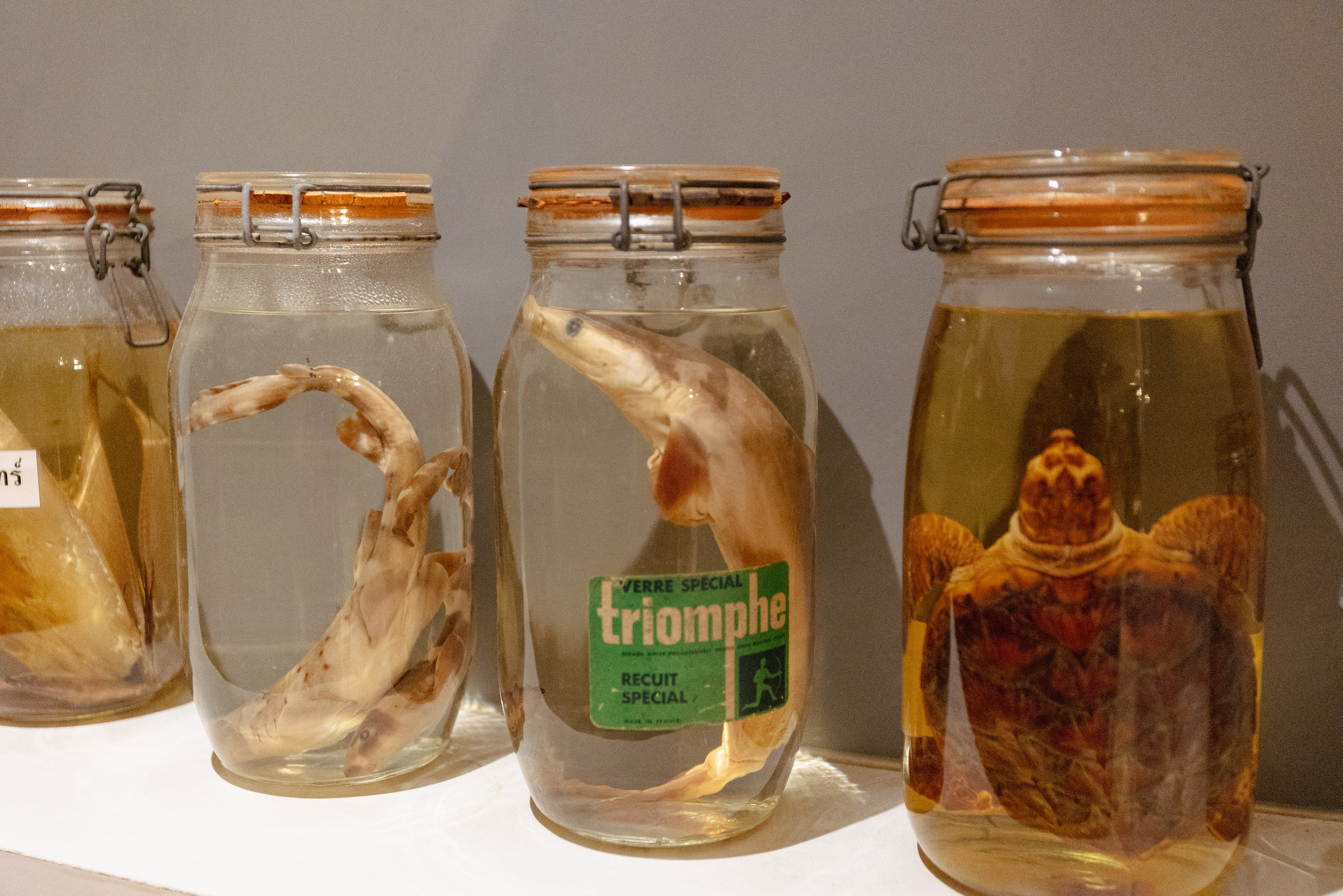 Bangkok Planetarium. Photographer Sonkina Tatiana (Tanya Ash)