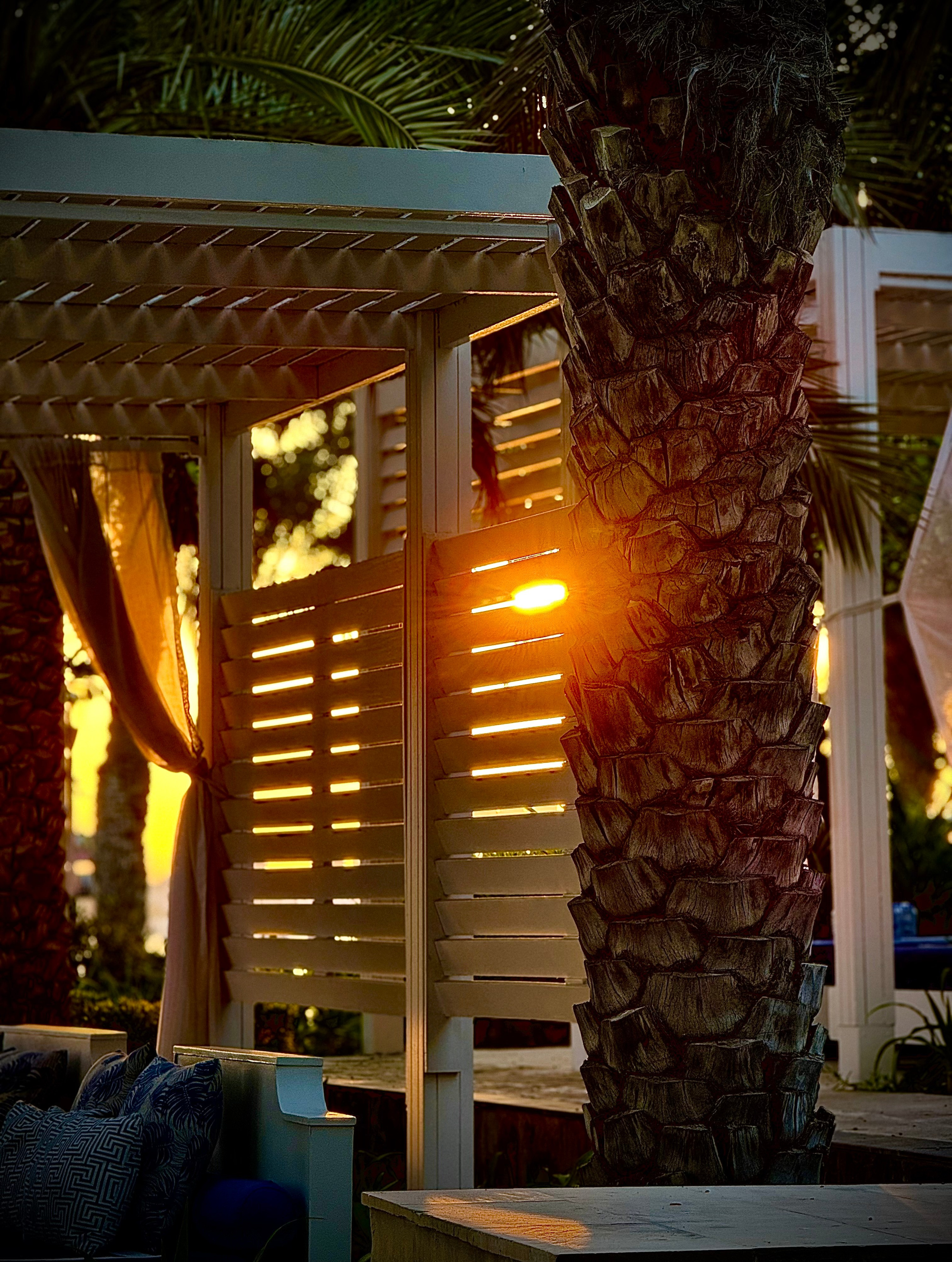 Фотограф Москва. Фотограф и художник в Москве Евгения Нюнина