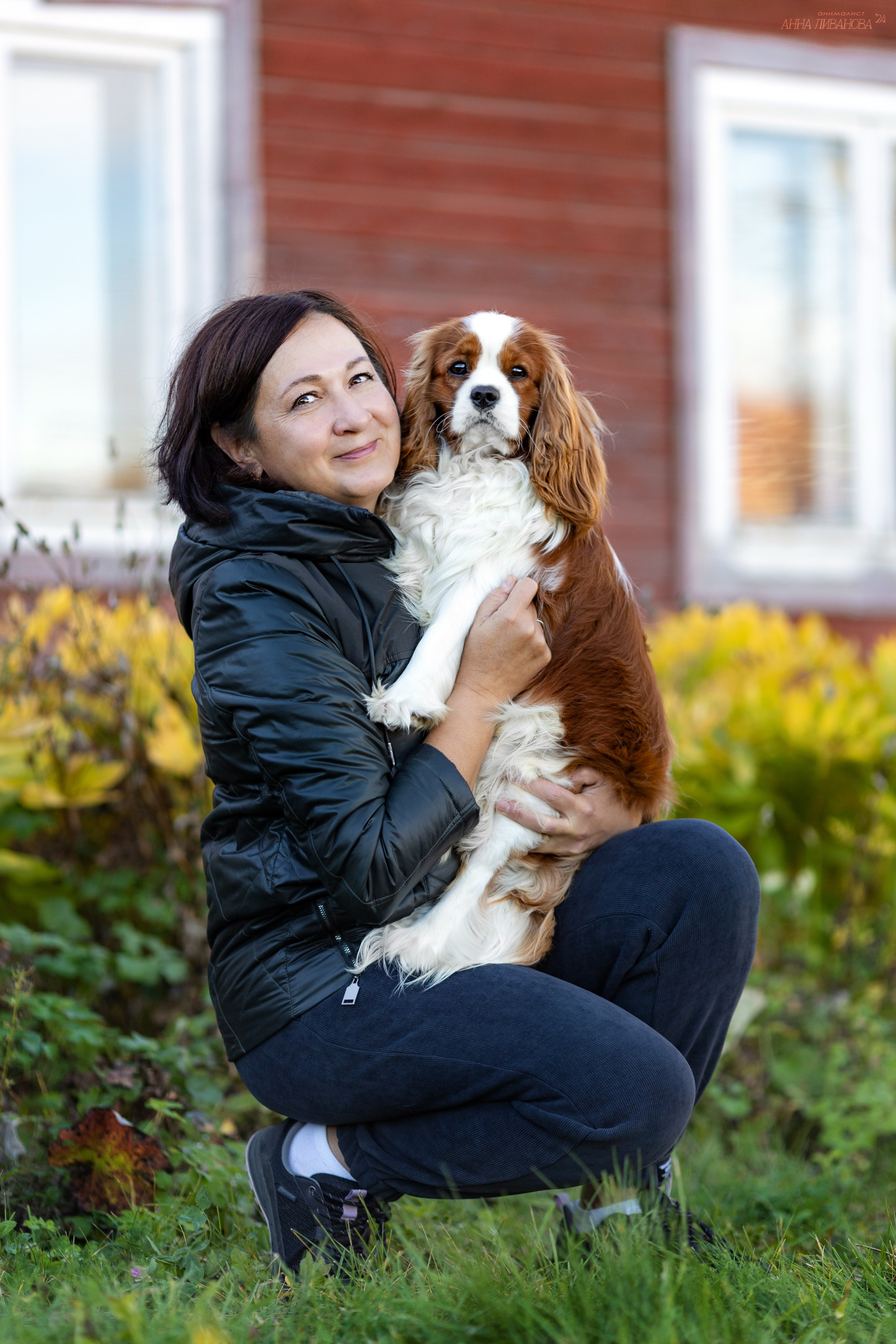 Кавалеры. Фотограф анималист Аня Ливанова | Рыбинск