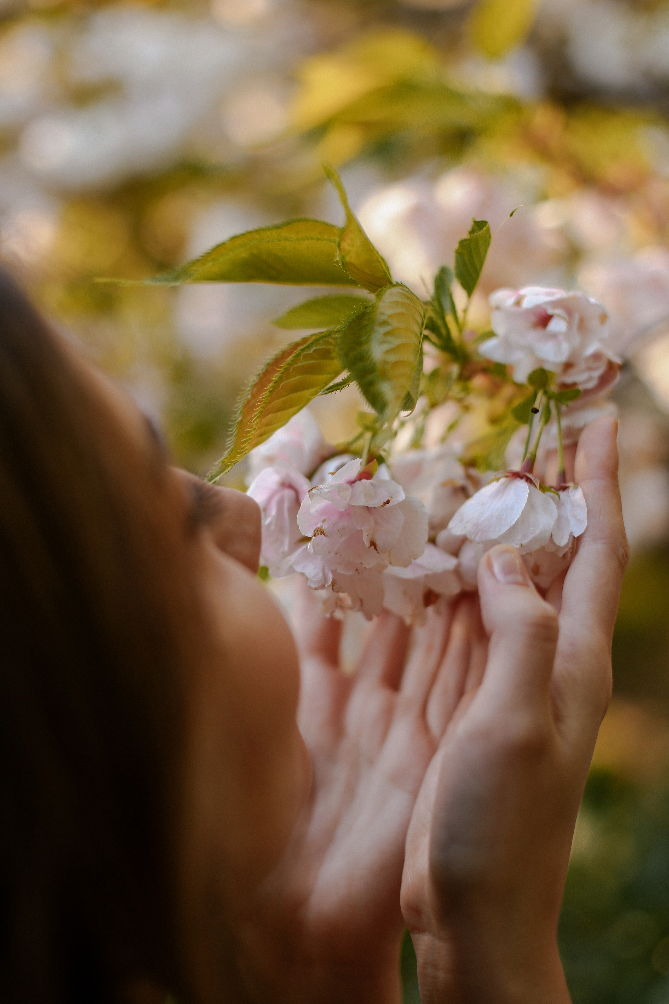 Девичник. Милана Довгаль - семейный фотограф и видеограф  в Адлере и Сочи