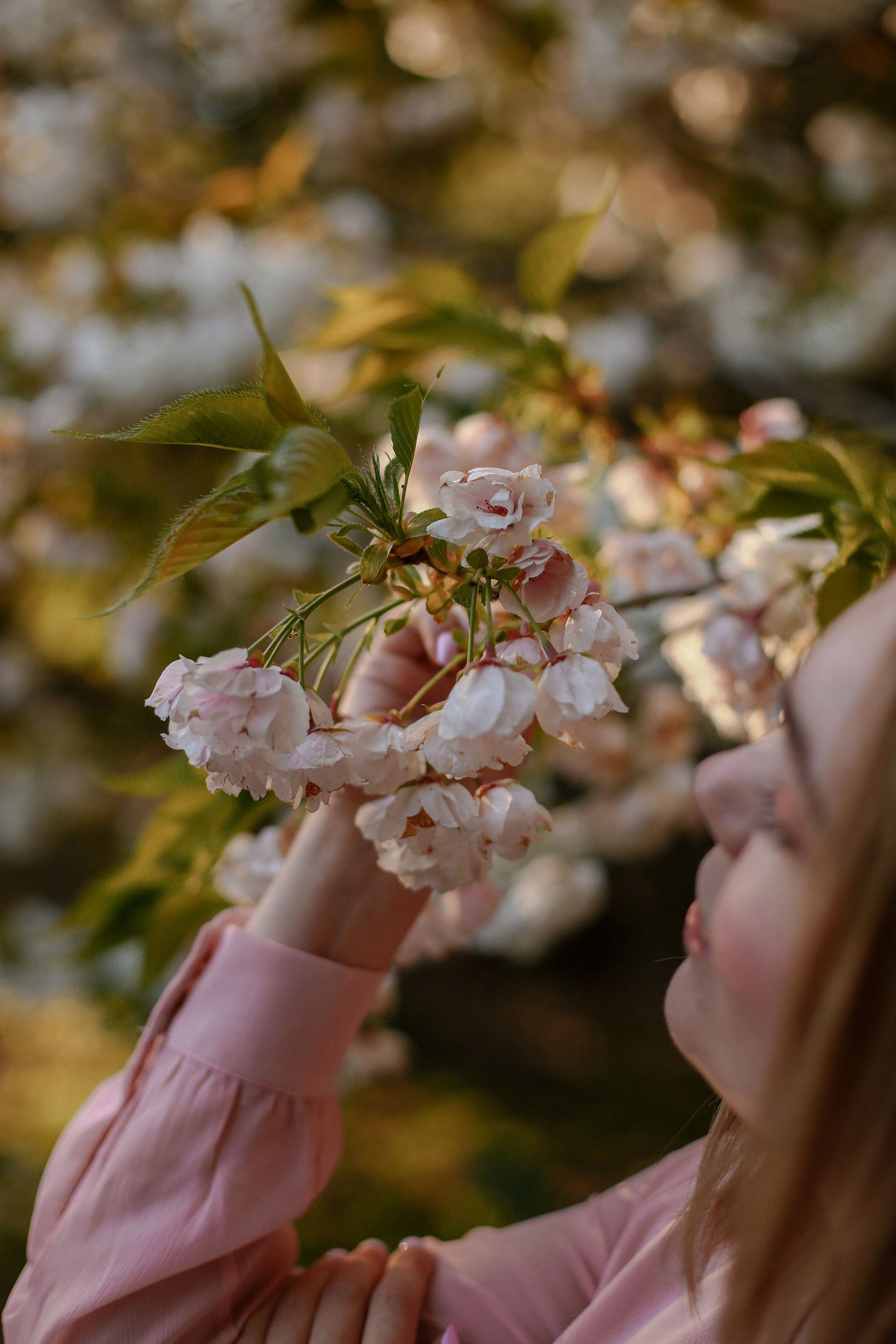 Девичник. Милана Довгаль - семейный фотограф и видеограф  в Адлере и Сочи