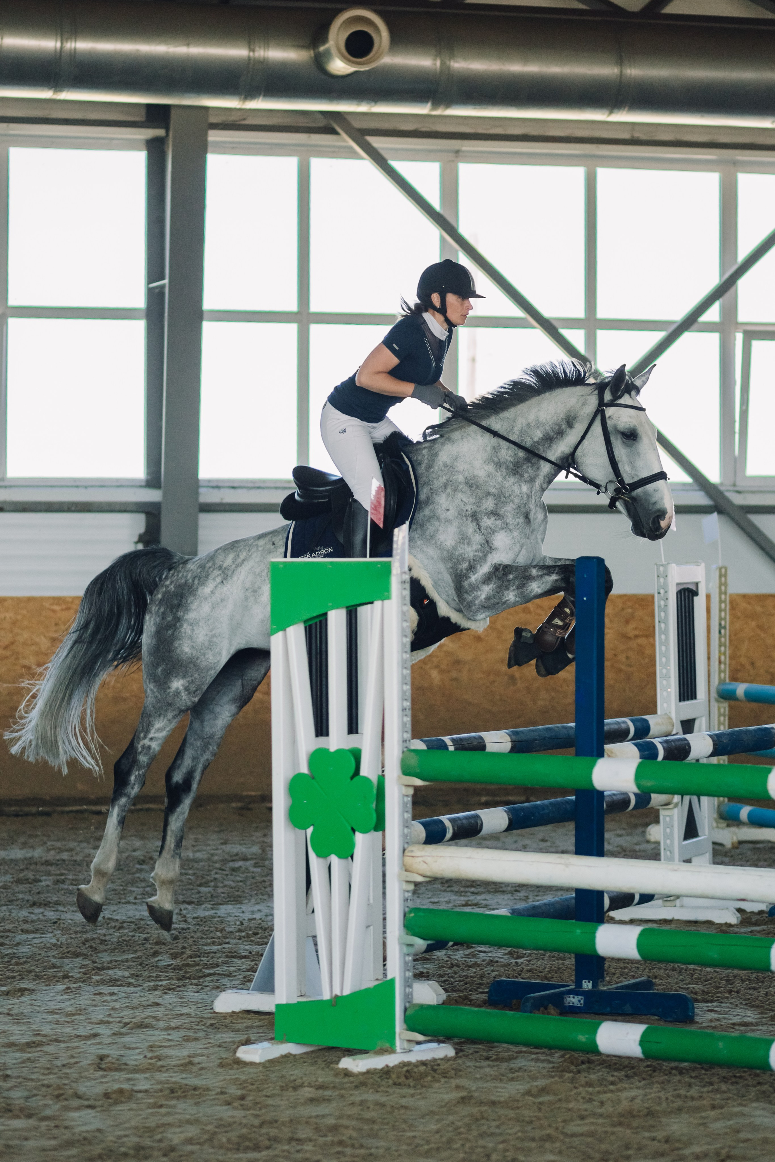 Соревнования. Ольга Белова. Портреты с лошадьми. Конная фотография