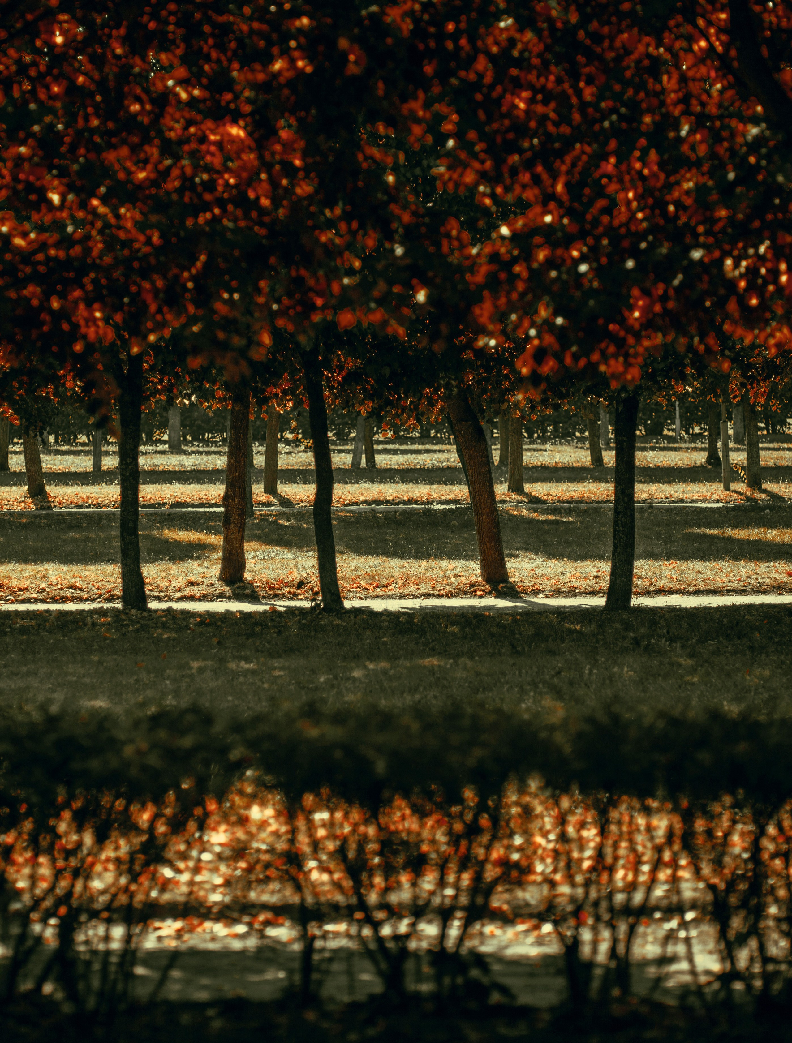 Арт-фото. Михаил Данилов | Фотограф