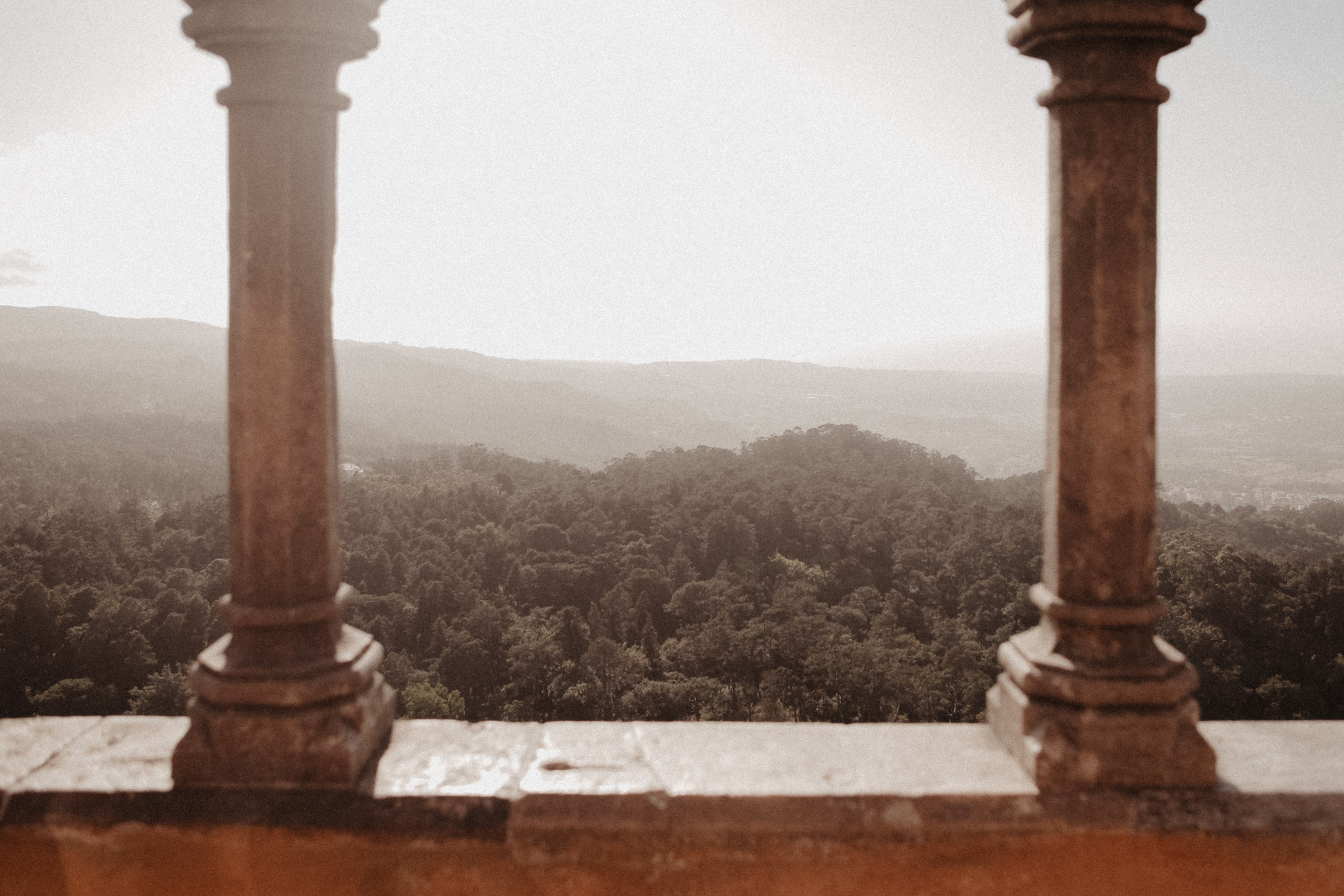 Португалия. Виолетта Скрипка