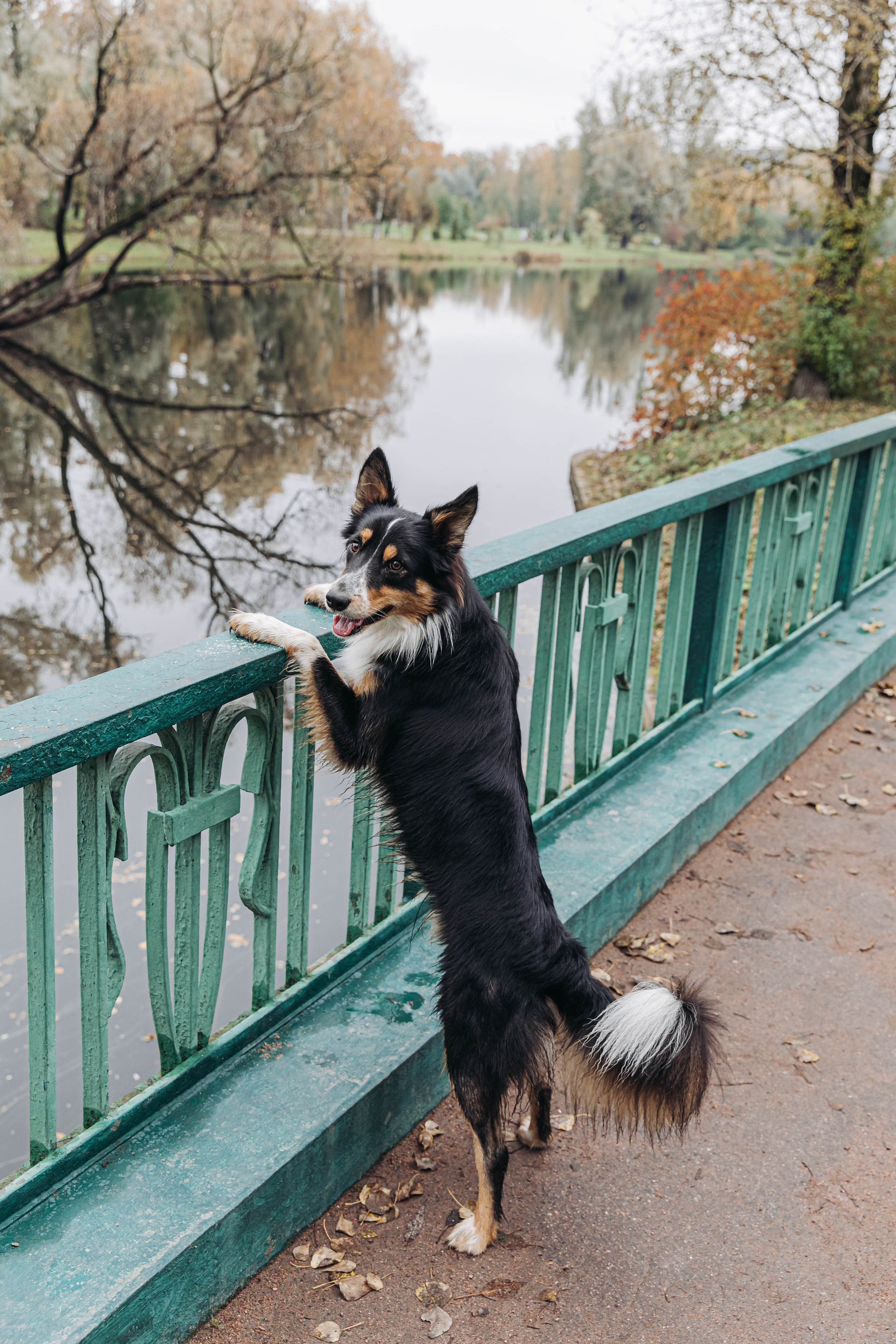 Вольт. Свадебный и семейный фотограф в Санкт-Петербурге Лолита Евстифеева