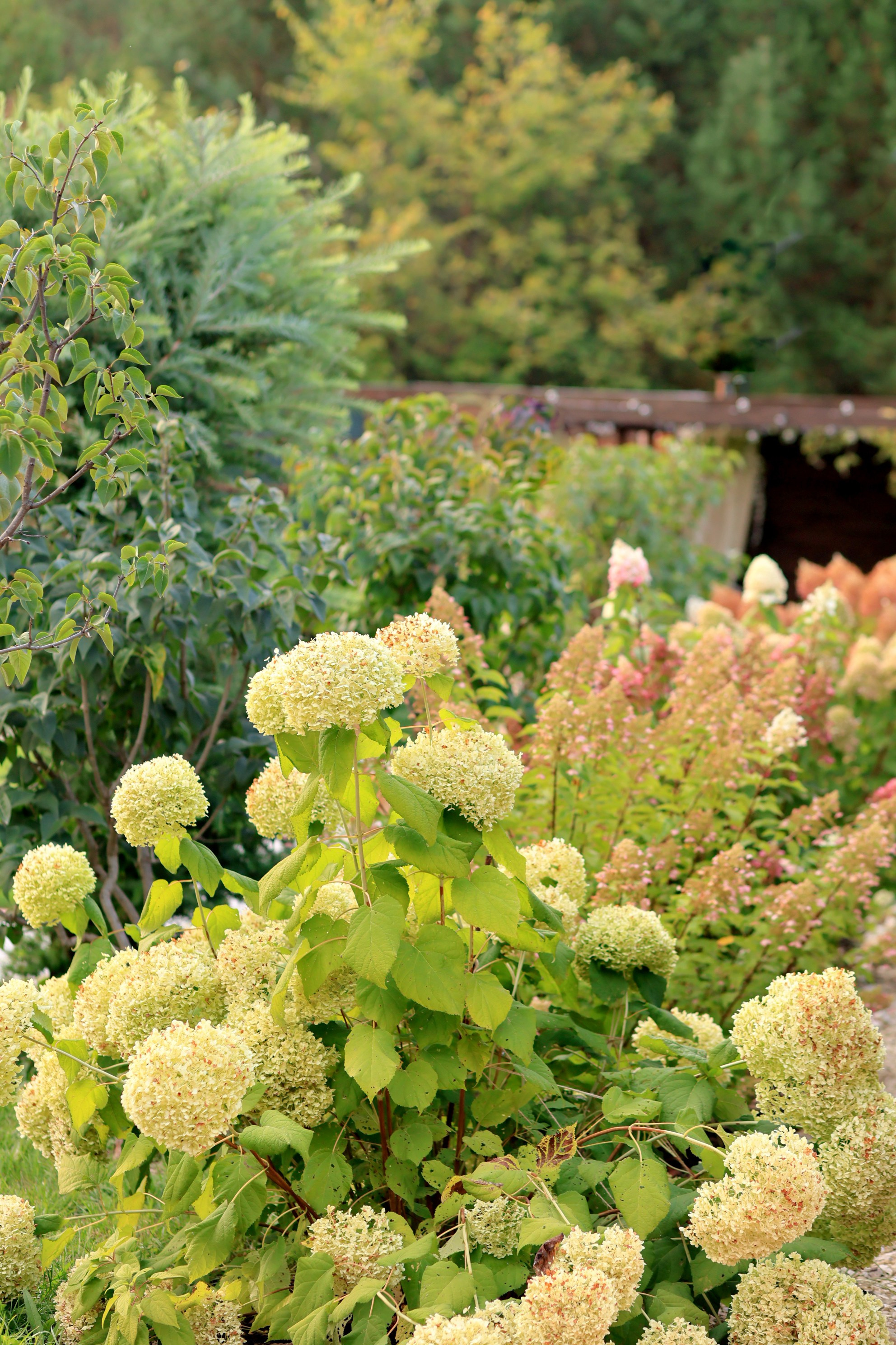 Парк-заповедник Купидон. Семейный фотограф в Димитровграде Елена Патрушева