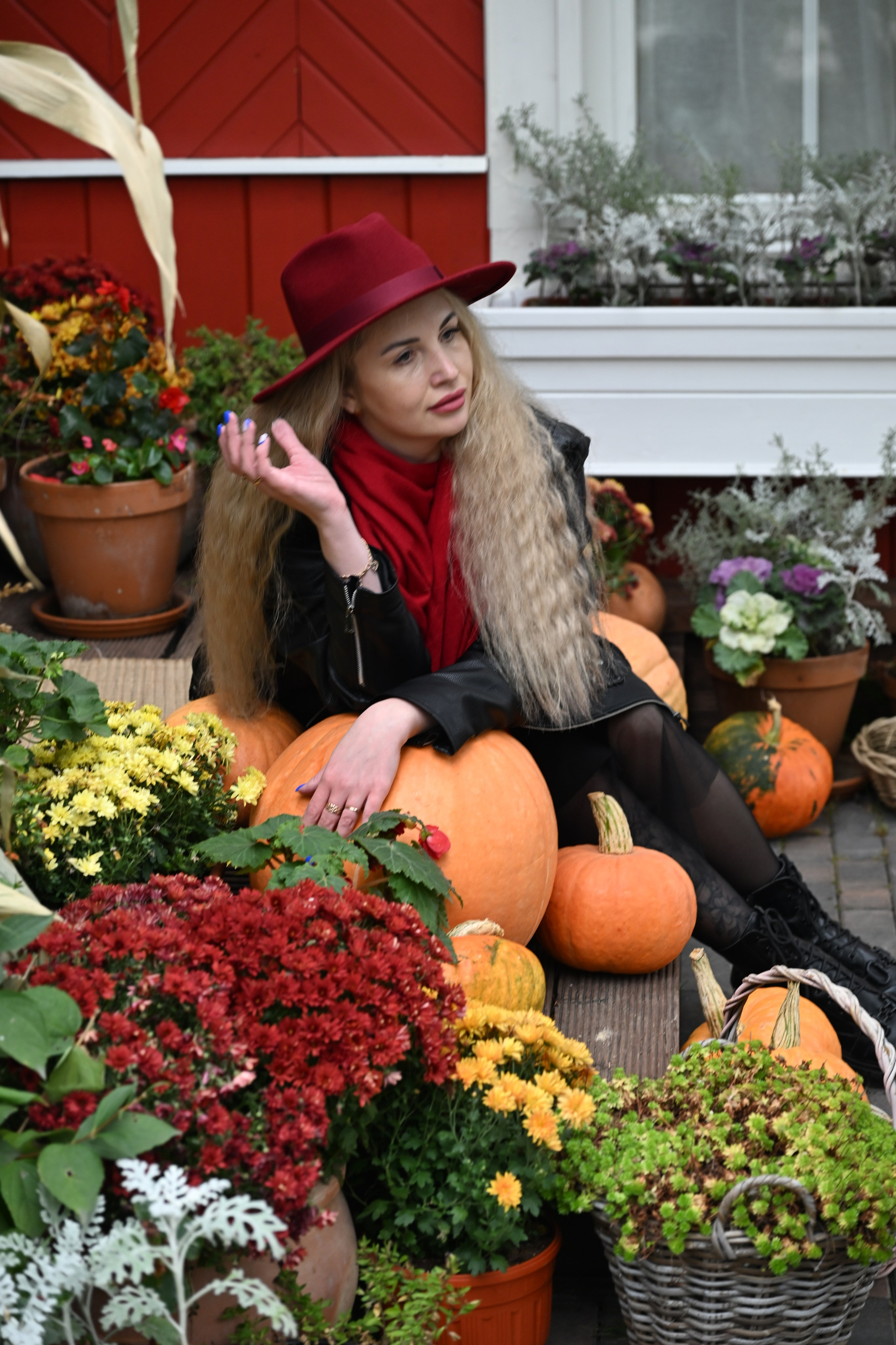 РЕГИНА ОСЕНЬ. Фотограф в Санкт-Петербурге Сафронов Николай