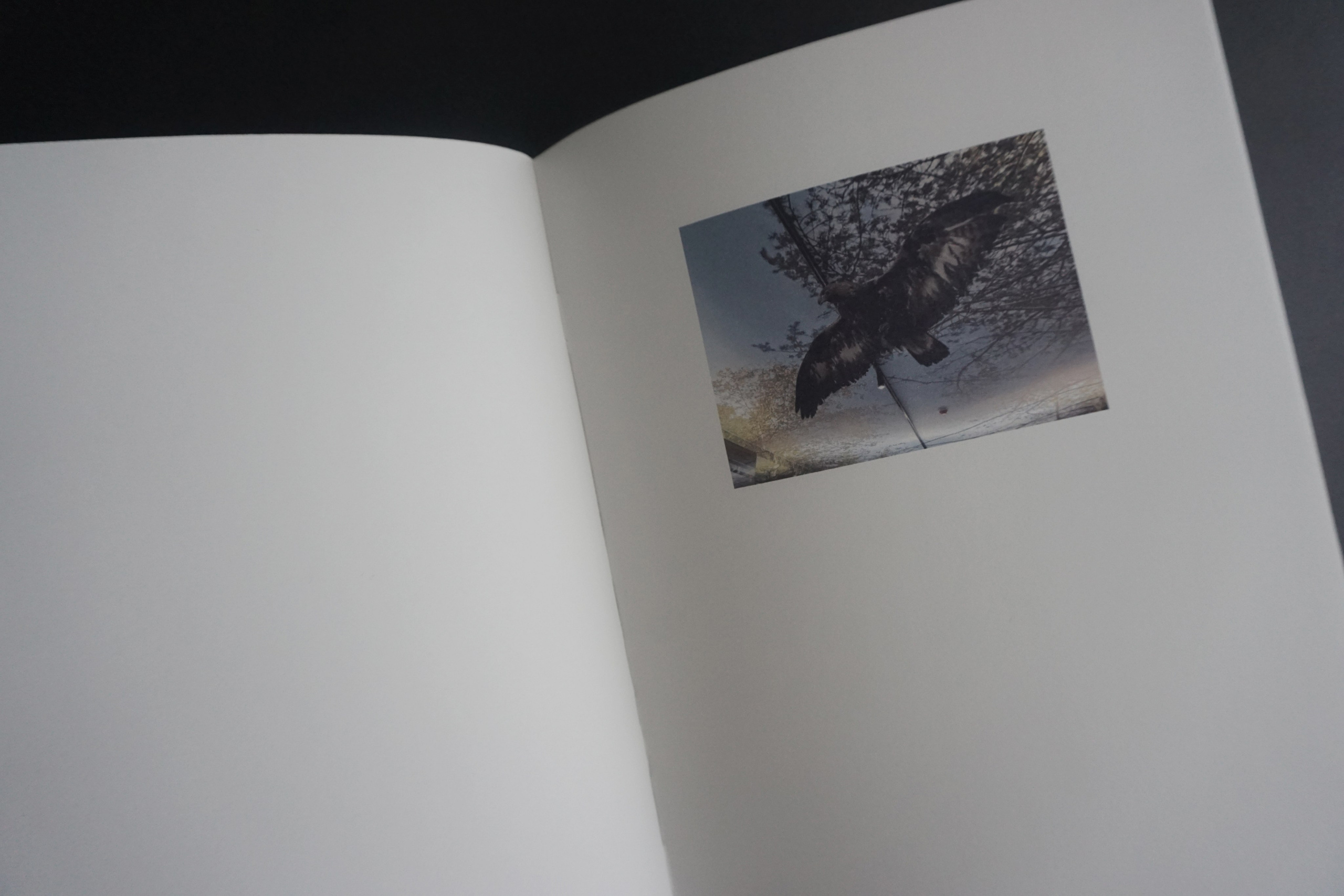 Overview. Anastasia Maryasova