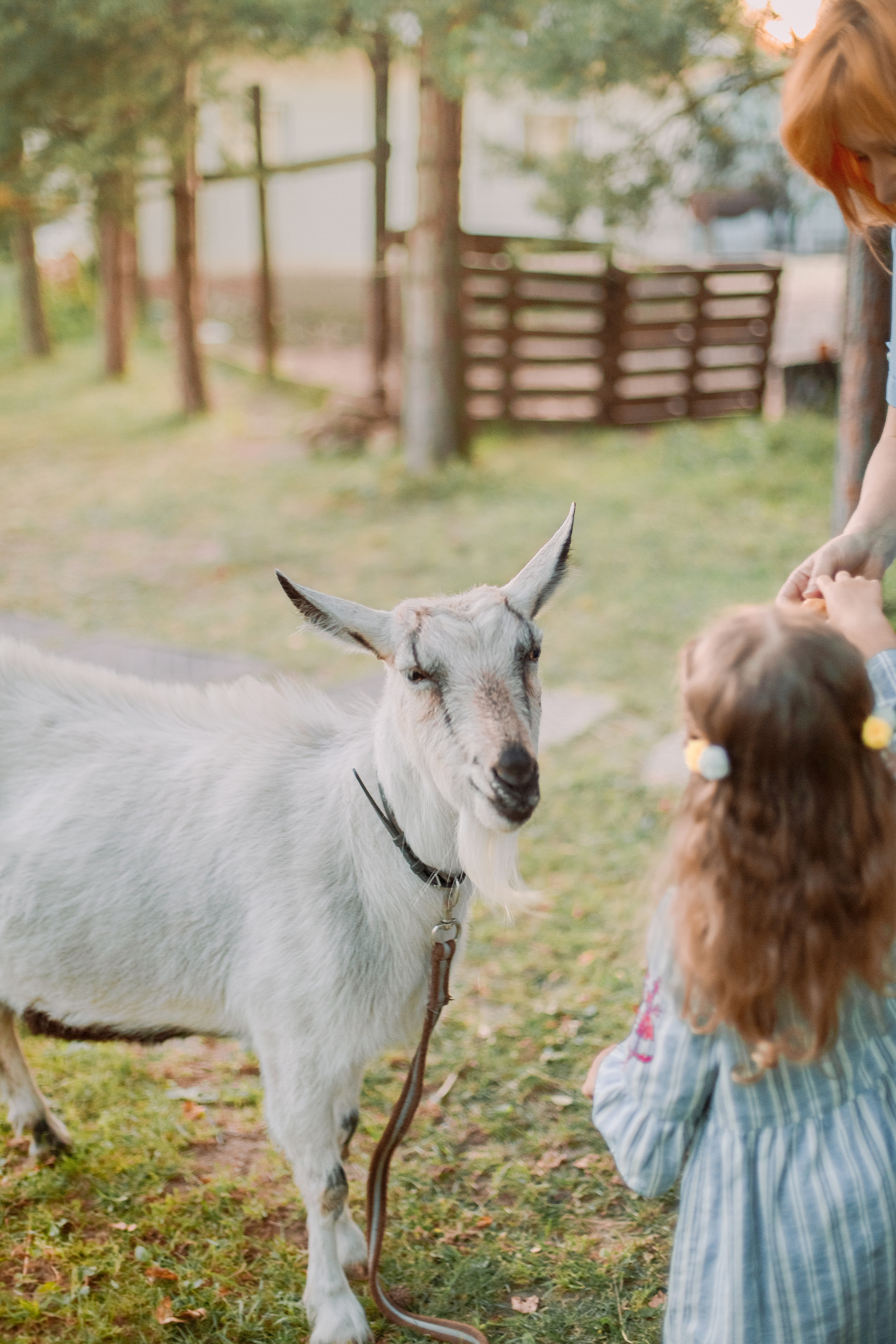 Про Наташу и Алису. Семейный и детский фотограф в Туле