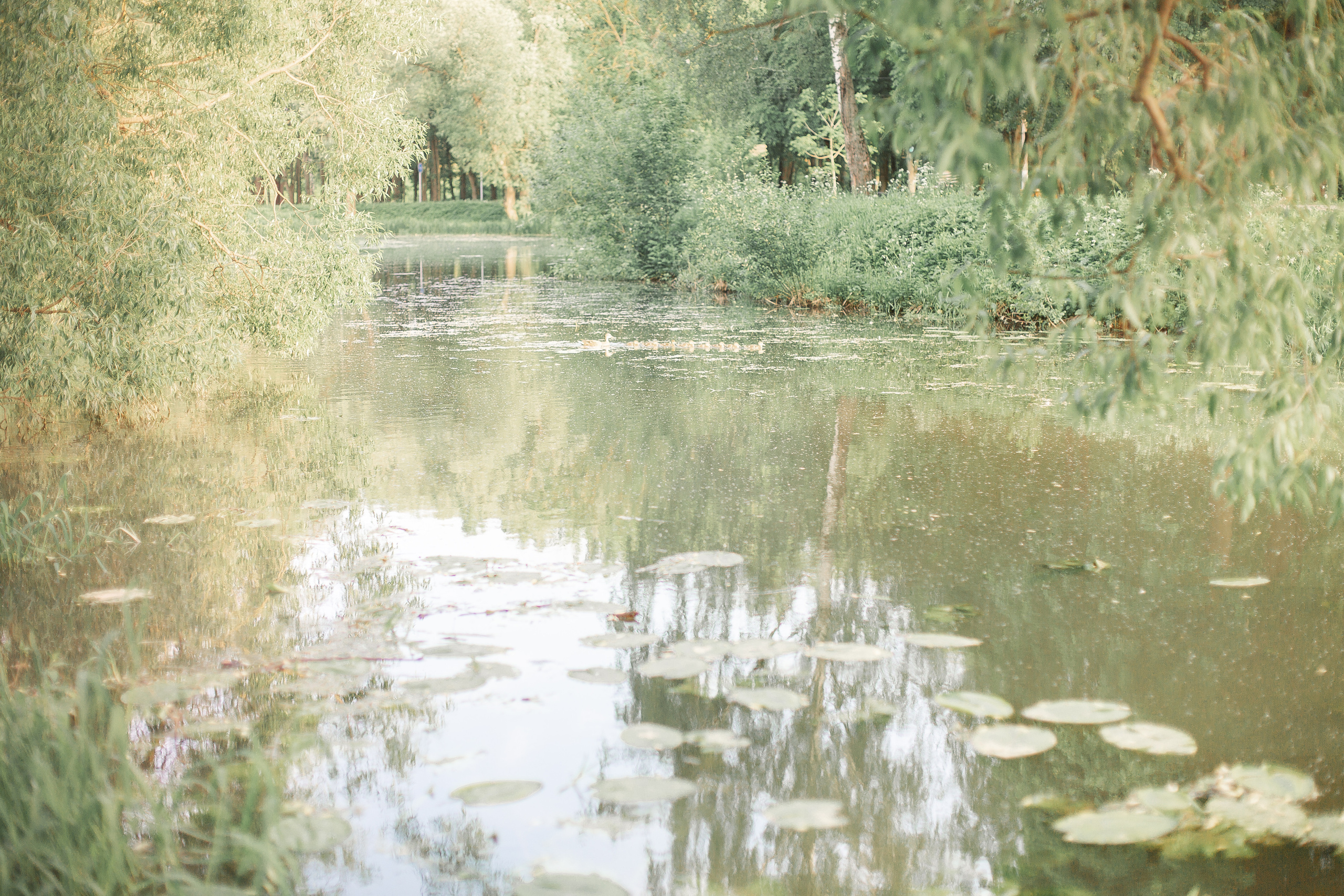 Про Илью, Настю и Семёна. Семейный и детский фотограф в Туле