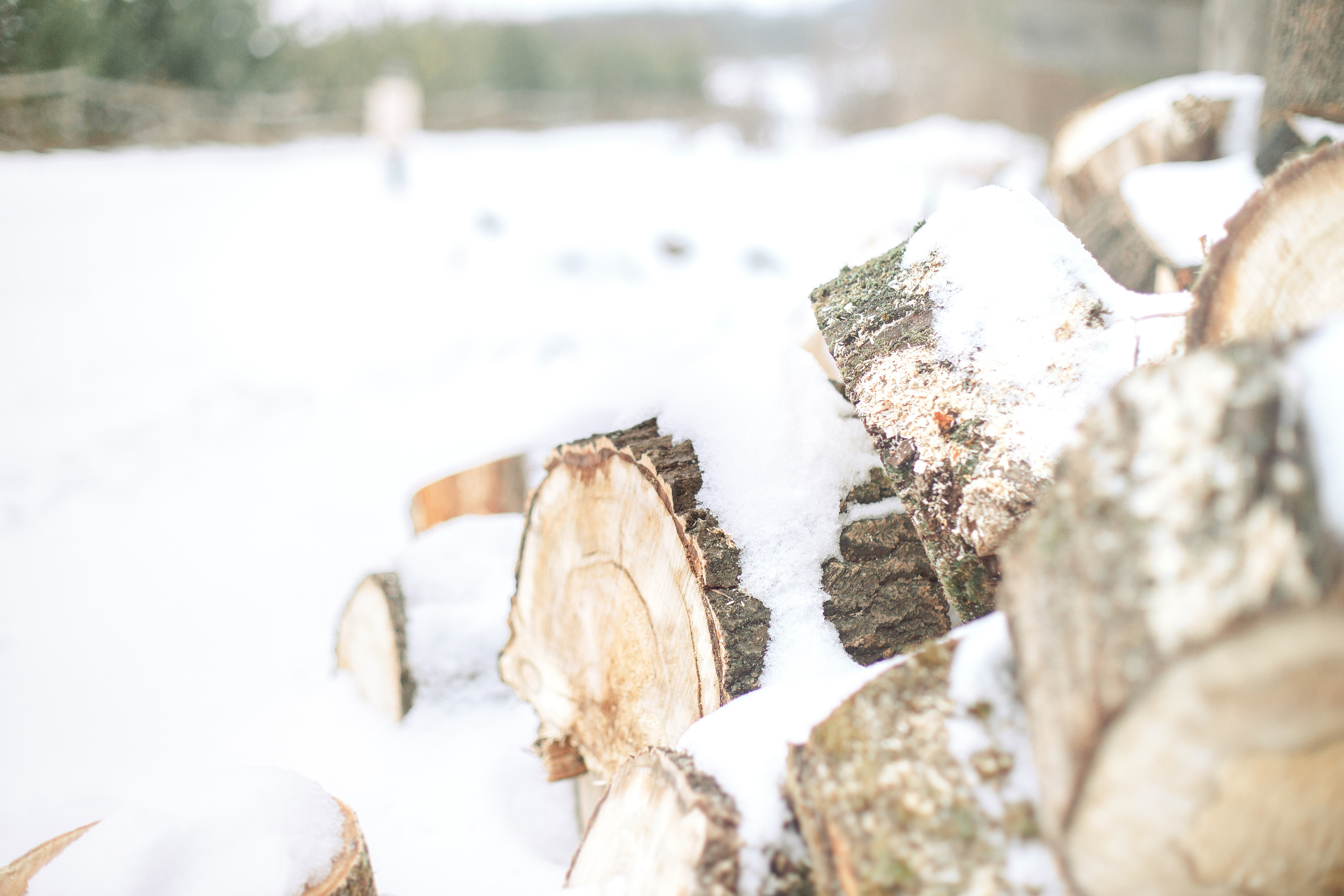 Про Костю, Наташу и Сашу. Семейный и детский фотограф в Туле