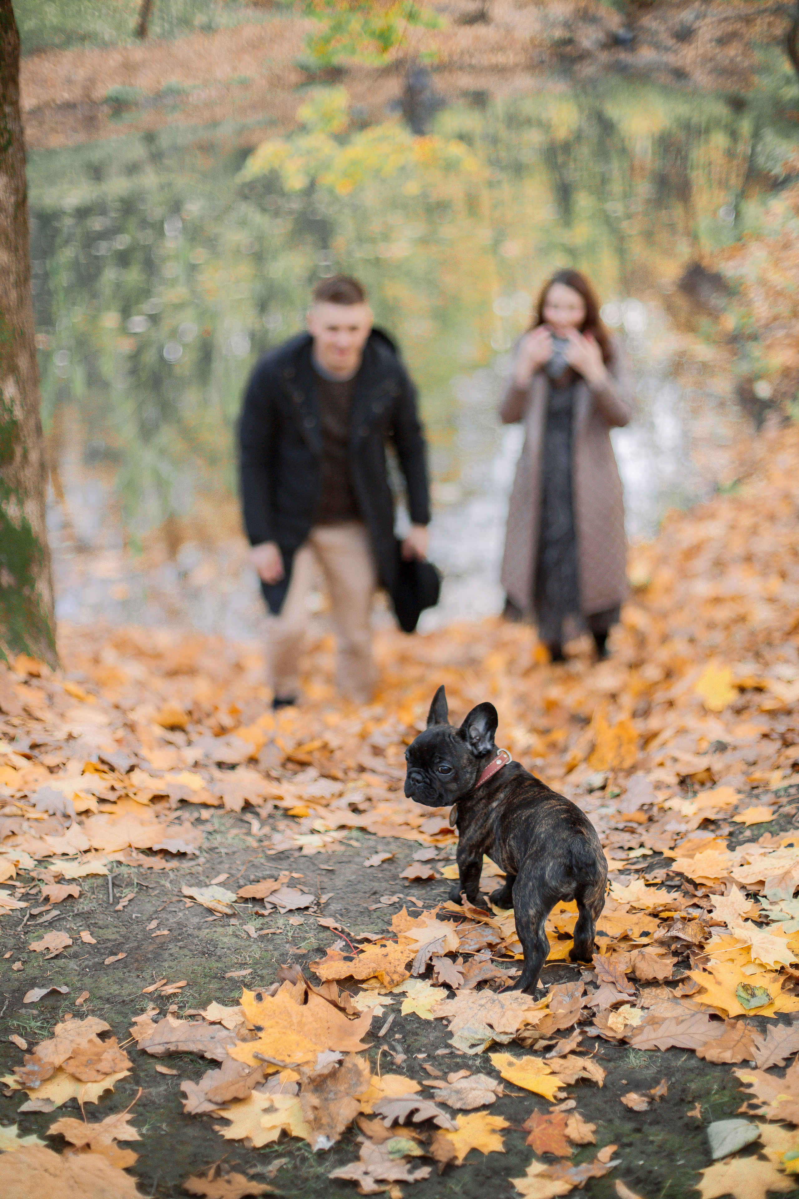 Про Настю и Мишу. Семейный и детский фотограф в Туле