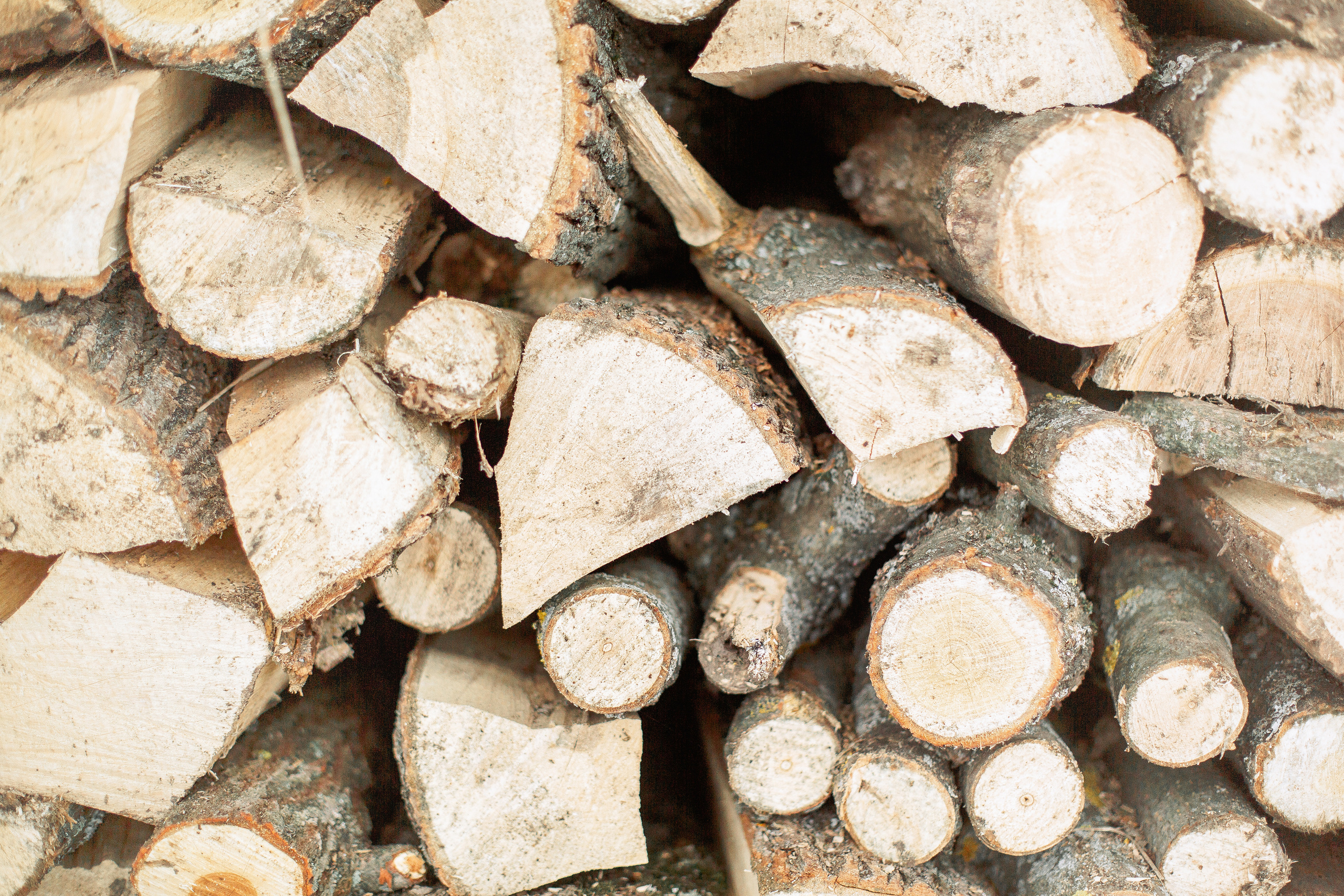 Про Костю, Наташу и Сашу. Семейный и детский фотограф в Туле