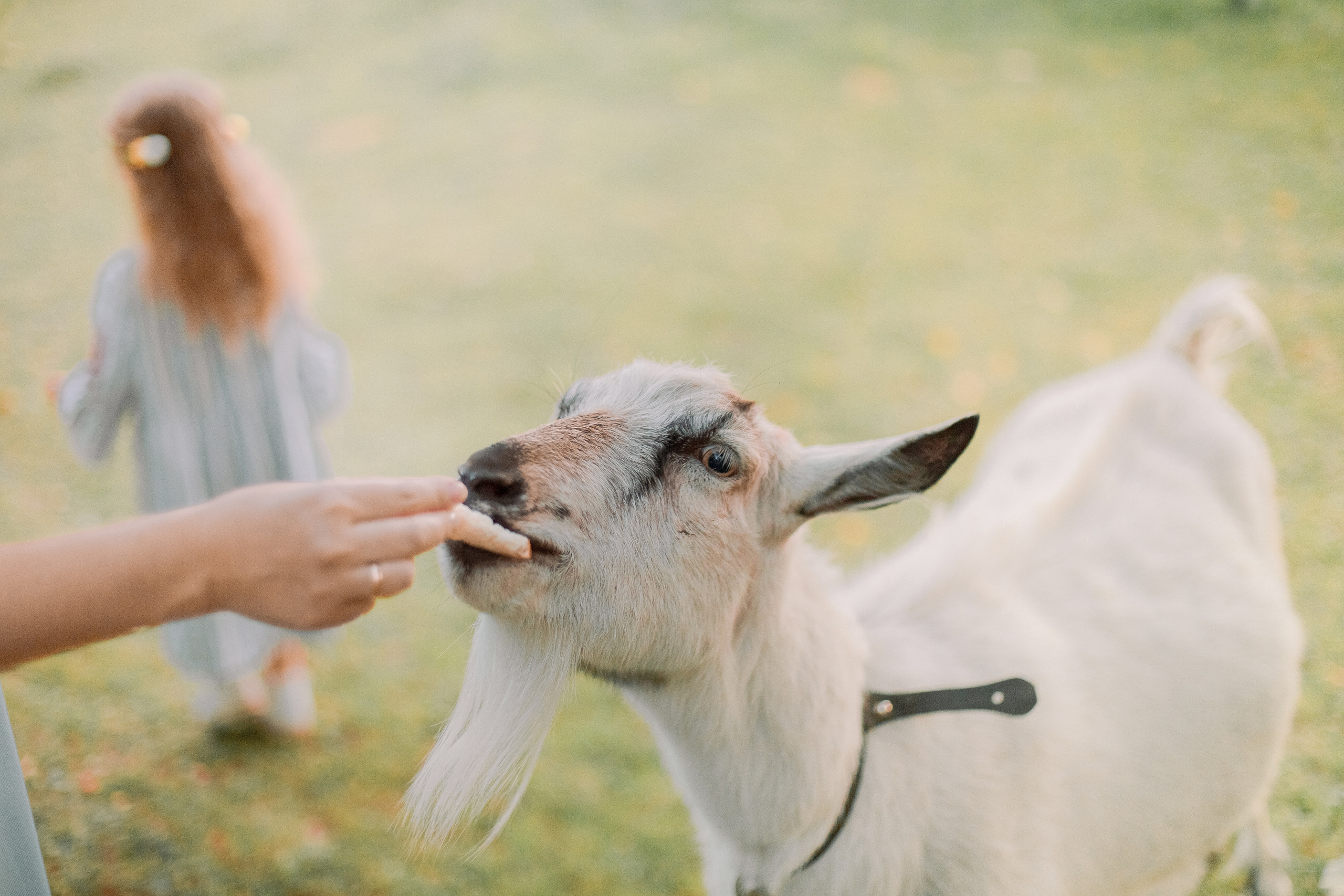 Про Наташу и Алису. Семейный и детский фотограф в Туле