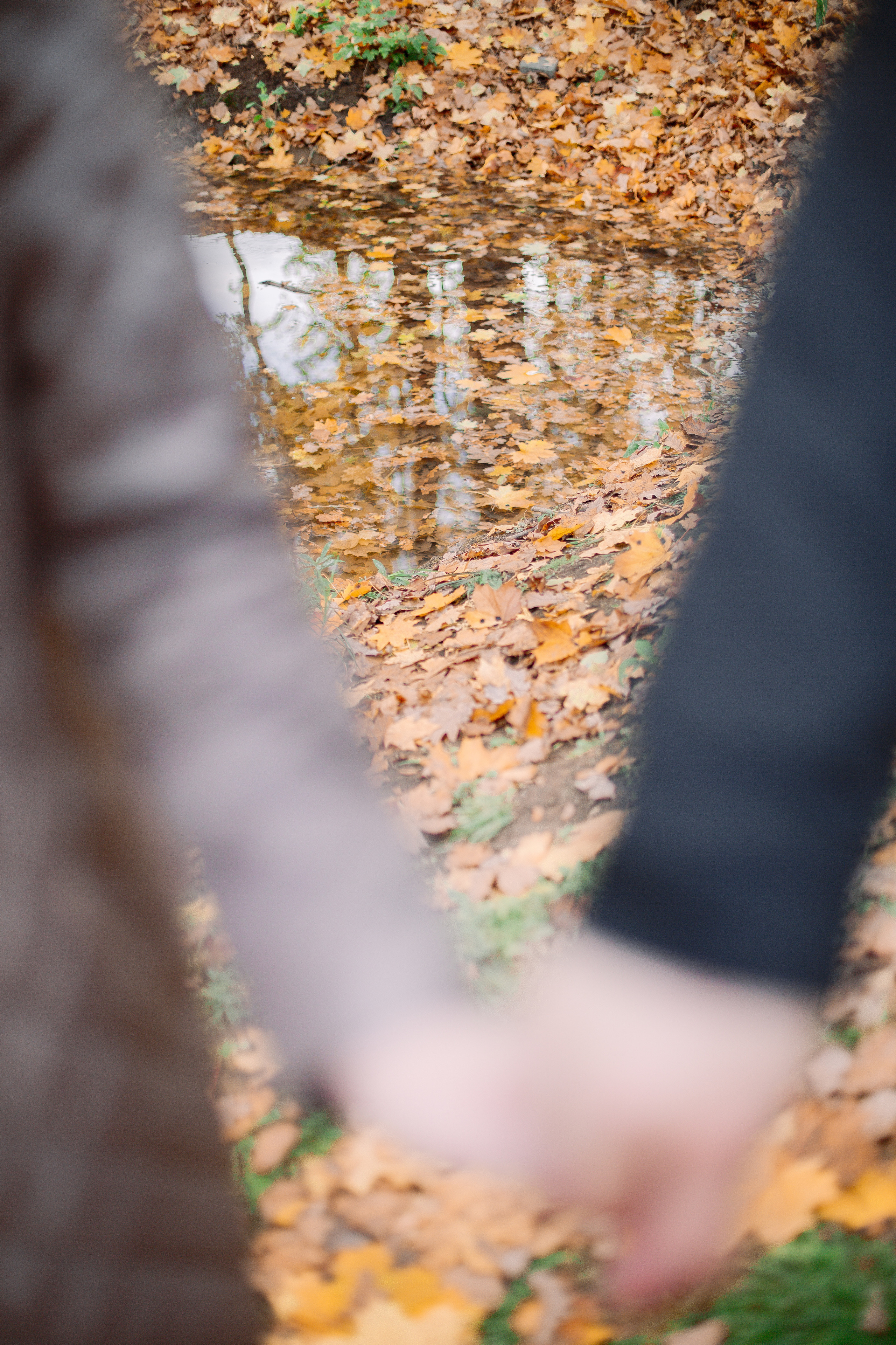 Про Настю и Мишу. Семейный и детский фотограф в Туле