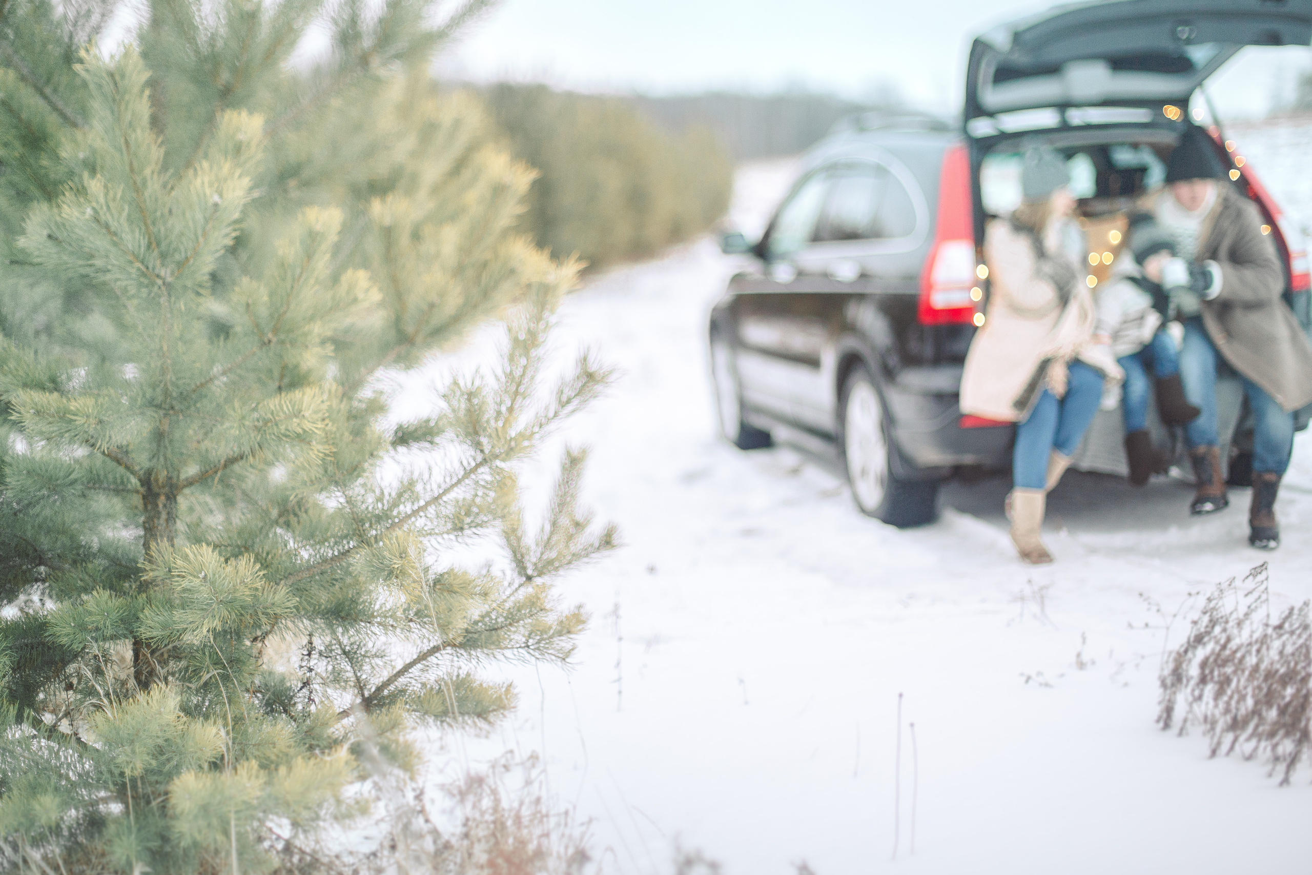 Про Костю, Наташу и Сашу. Семейный и детский фотограф в Туле