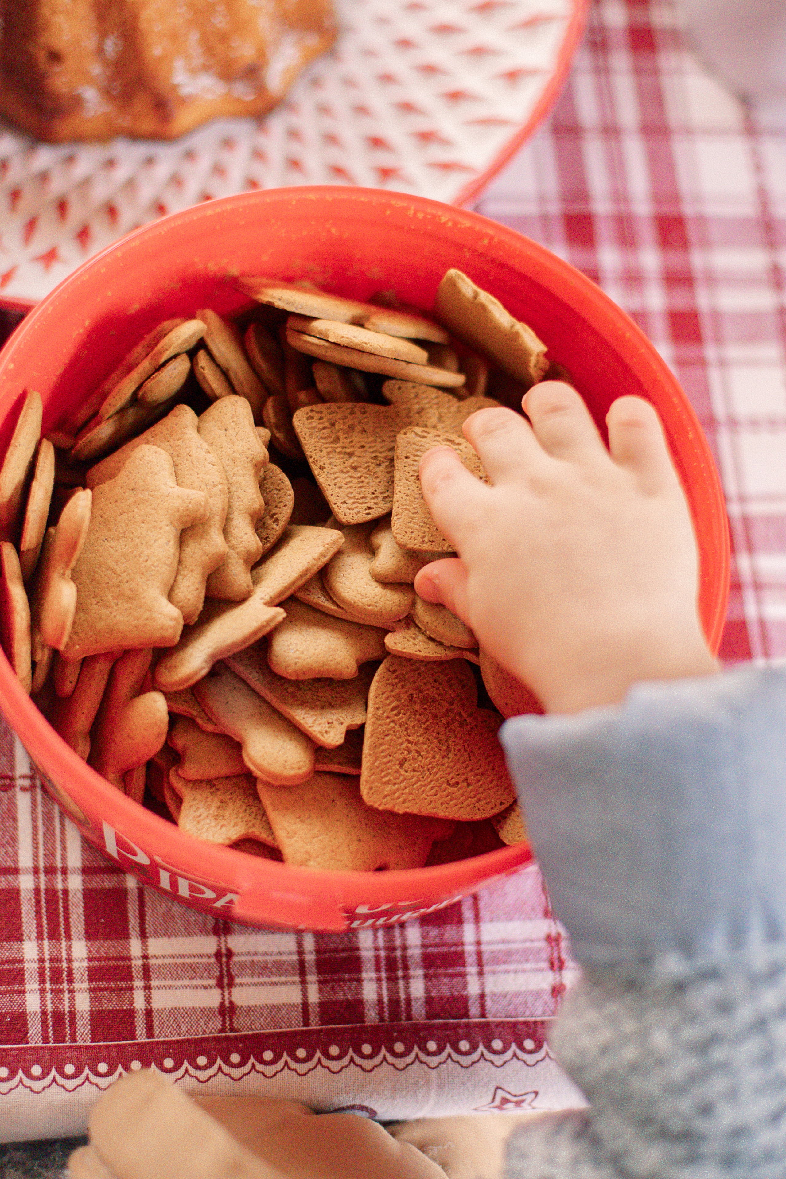 Про Диму, Дашу и Илью. Семейный и детский фотограф в Туле
