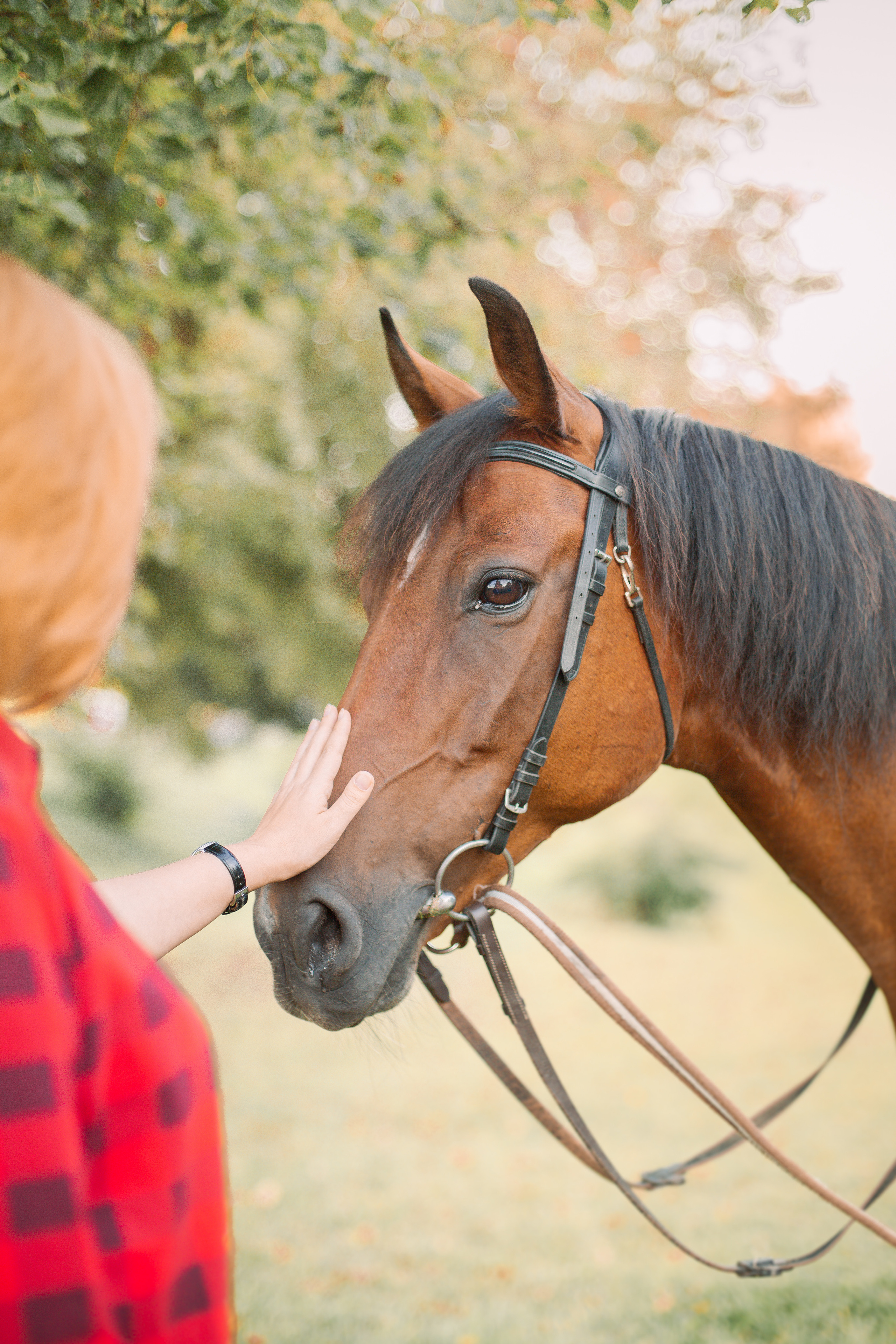 Про Наташу и Алису. Семейный и детский фотограф в Туле