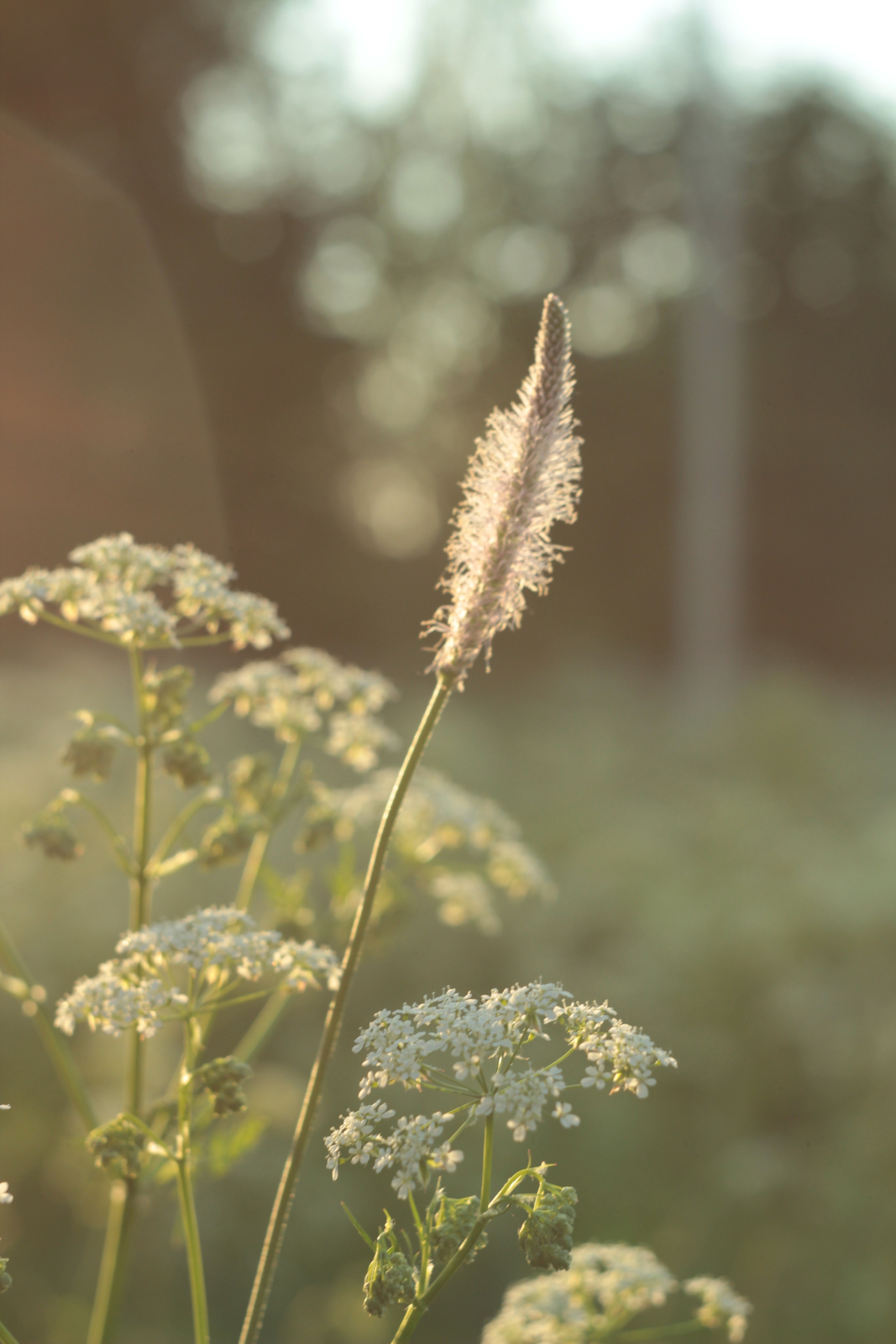 Вне студии. Фотограф Светлана Заплатина