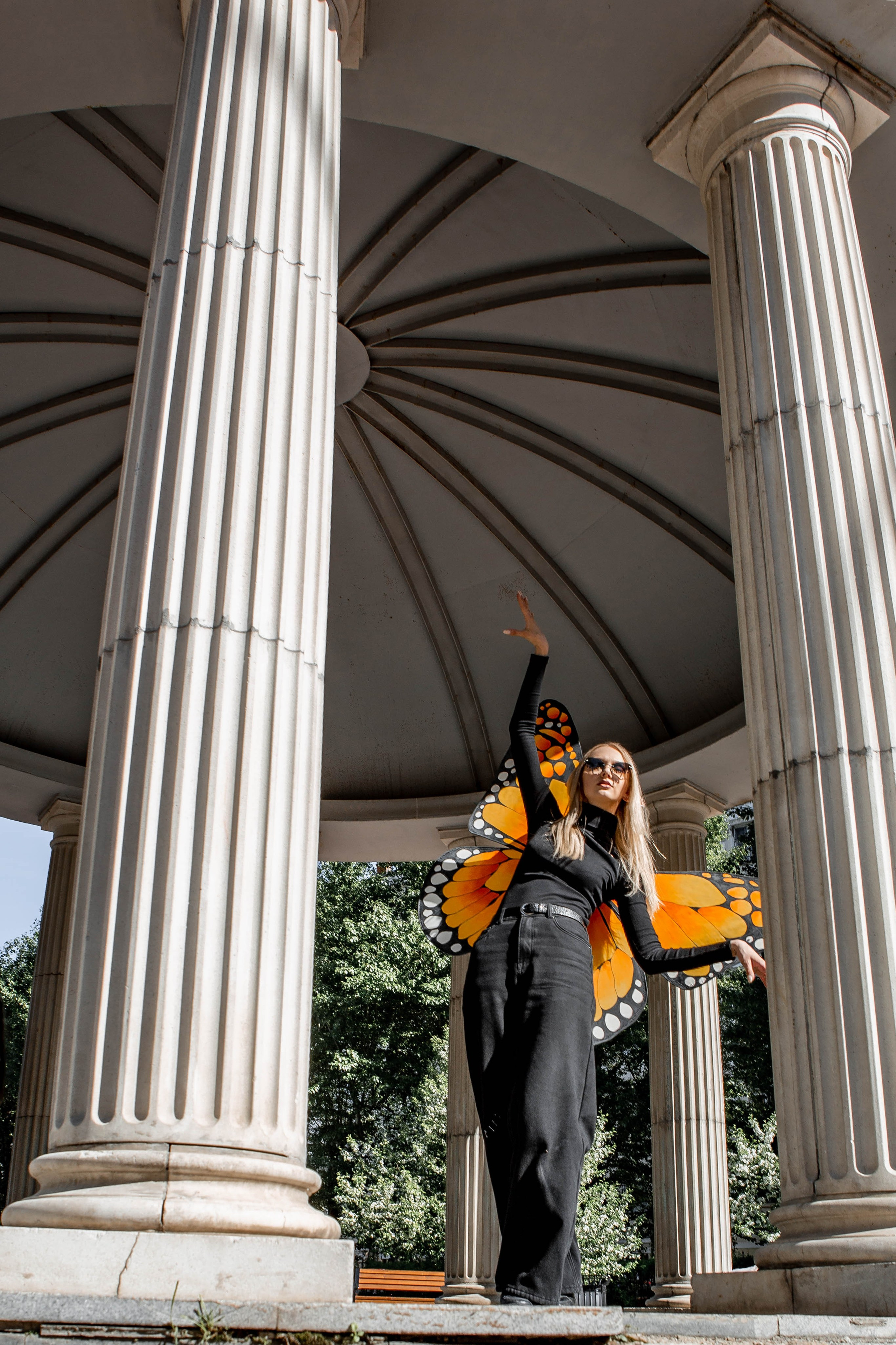 Бабочка. Фотограф Екатерина Голицына