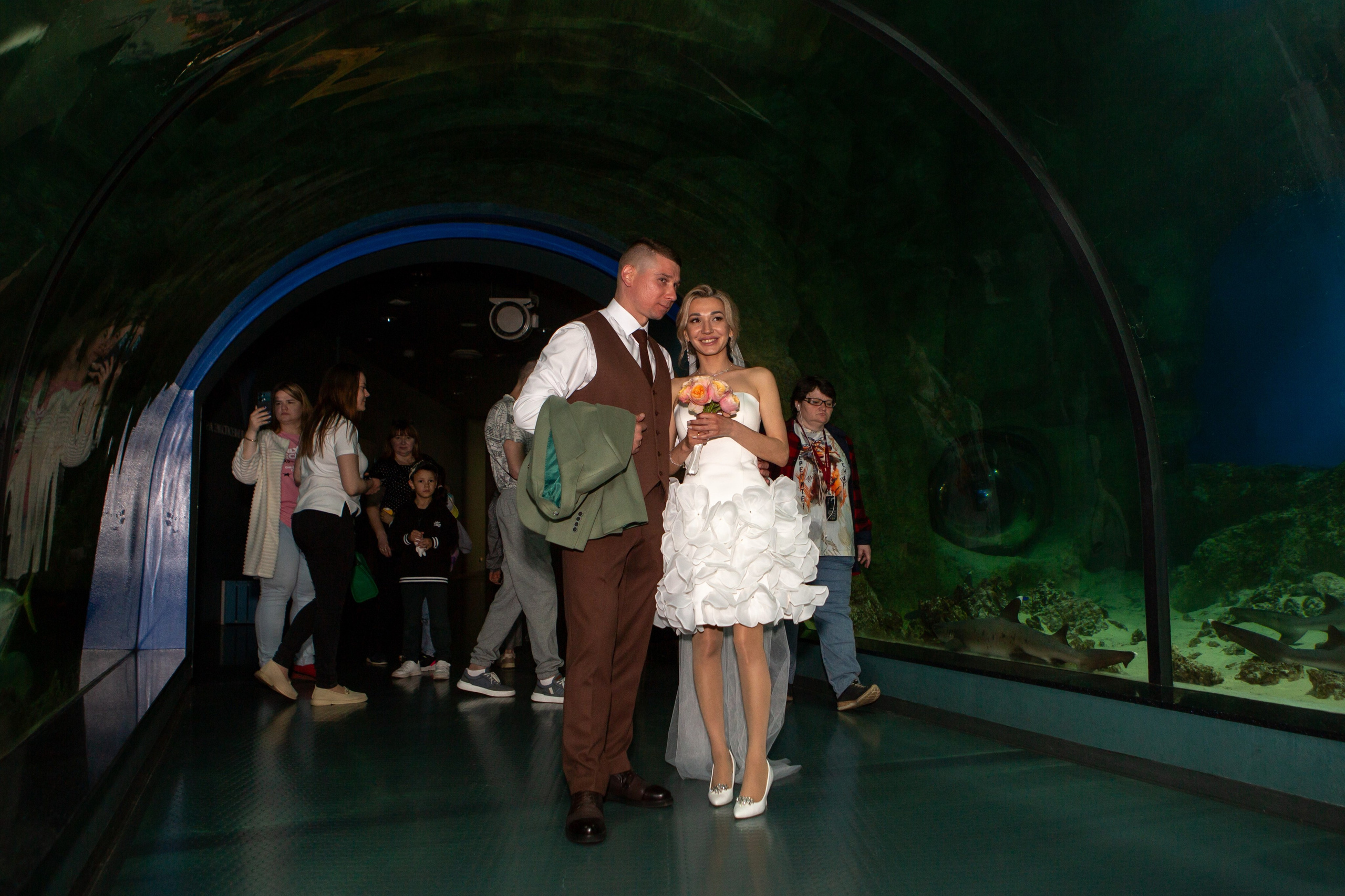 Свадьба Николая и Анастасии. Репортажный, семейный, свадебный, портретный фотограф