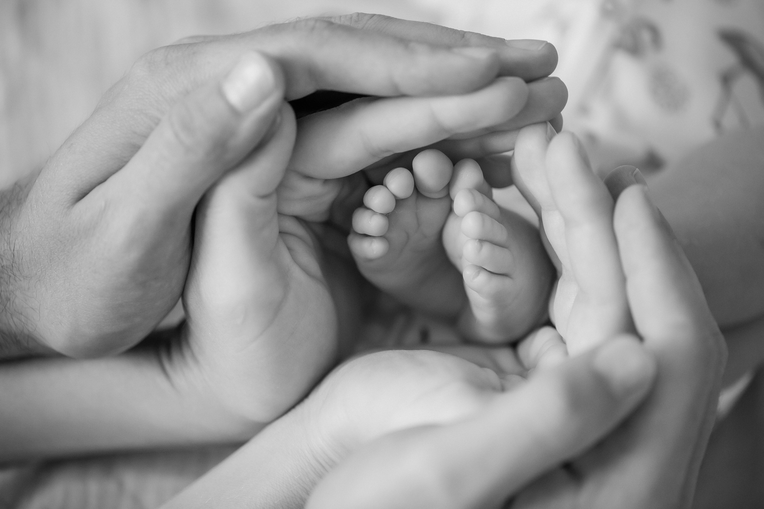 Новорожденные. Кристина Москвина. Портретный фотограф