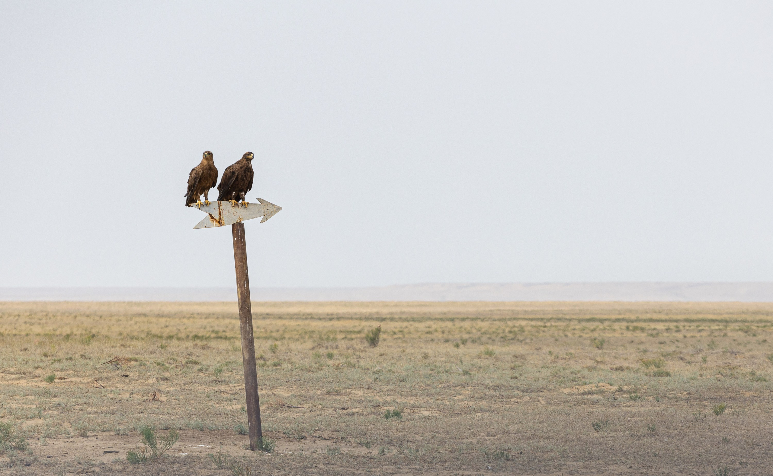 Казахстан. Добродеева Алла фотограф, Москва