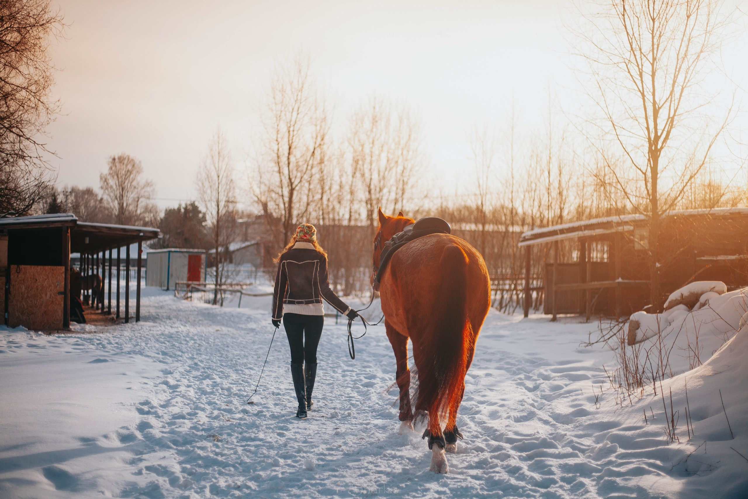 Ирина и Гепард. Фотограф Елизавета Филатова