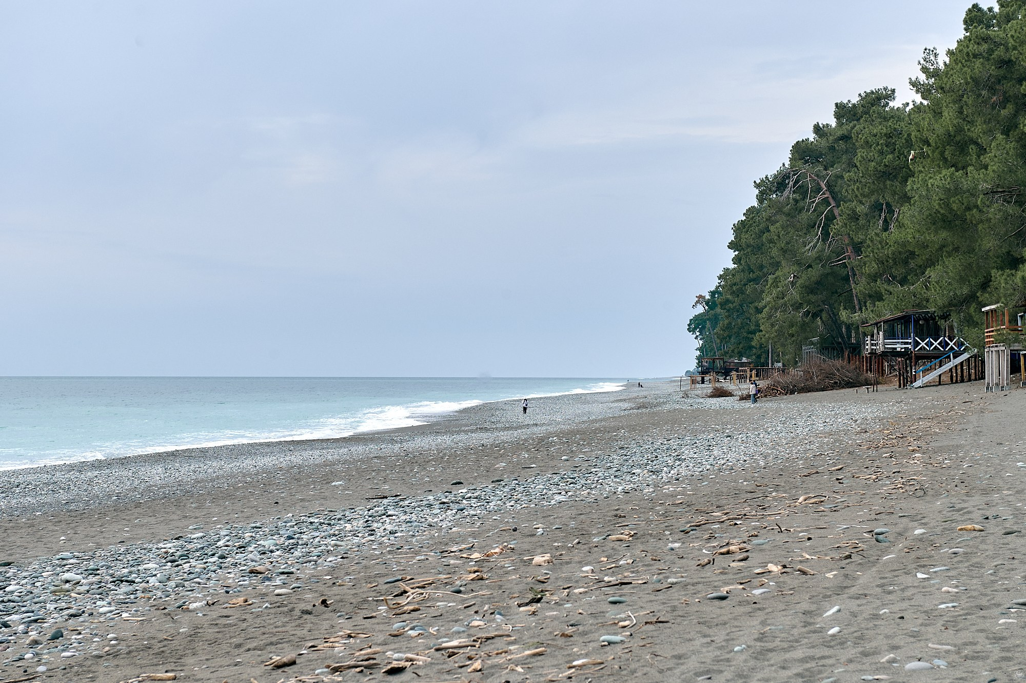 Пицунда, Абхазия. Декабрь 2024. Фотографии отовсюду и обо всем