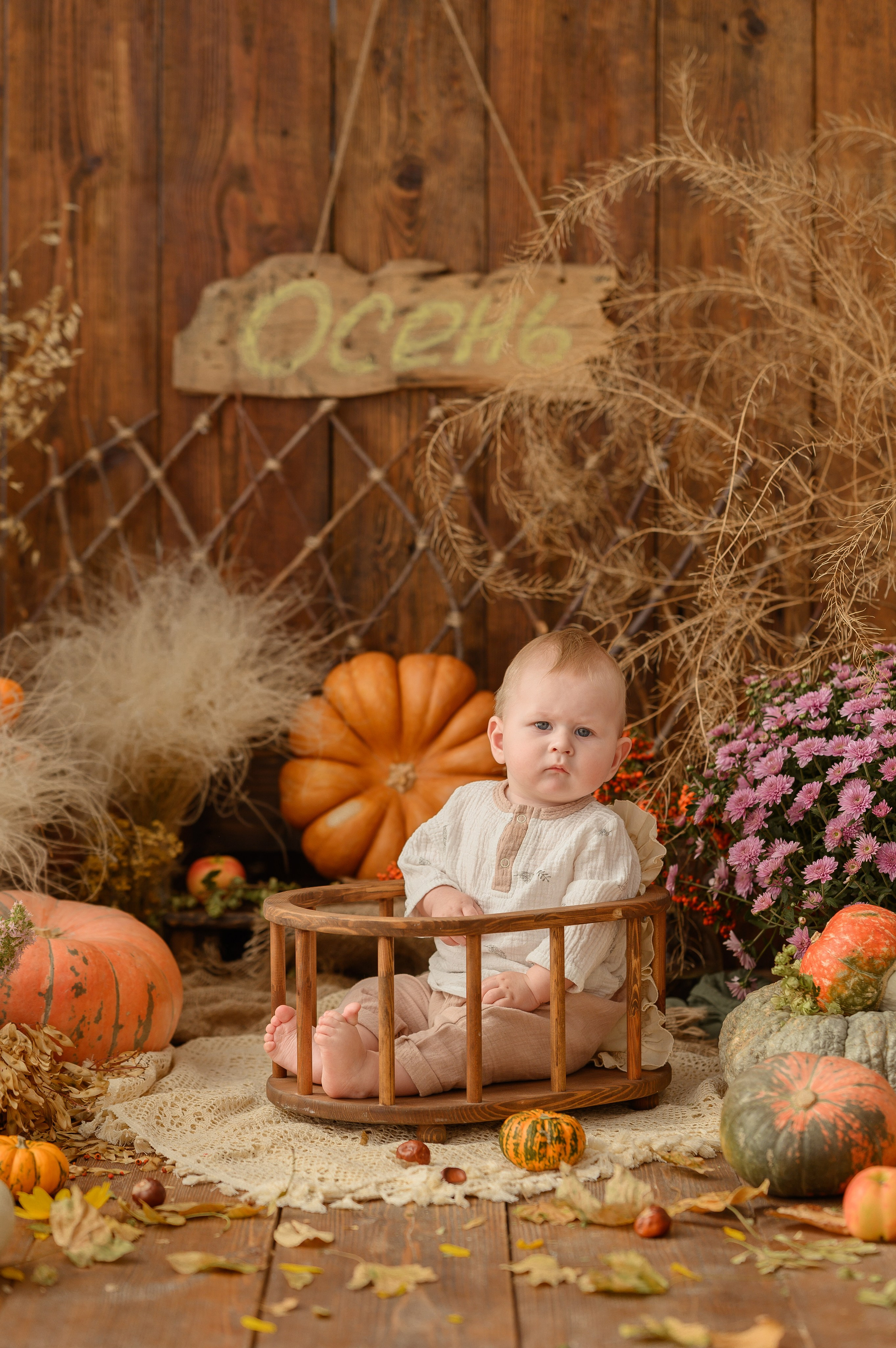 Дамирчик и кролик в тыквах. Детский и семейный фотограф Ирина Гладких