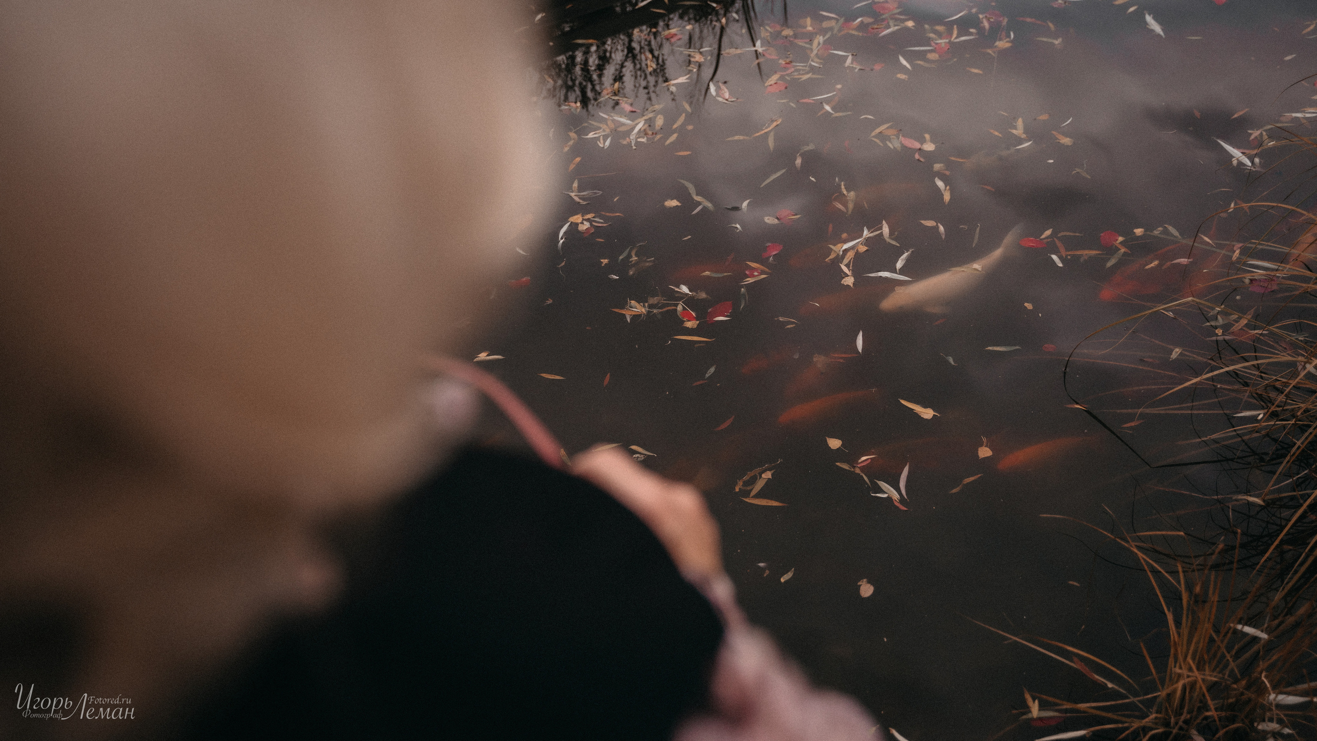 Парк. Свадебный и семейный фотограф Калининград Зеленоградск Светлогорск Леман Игорь