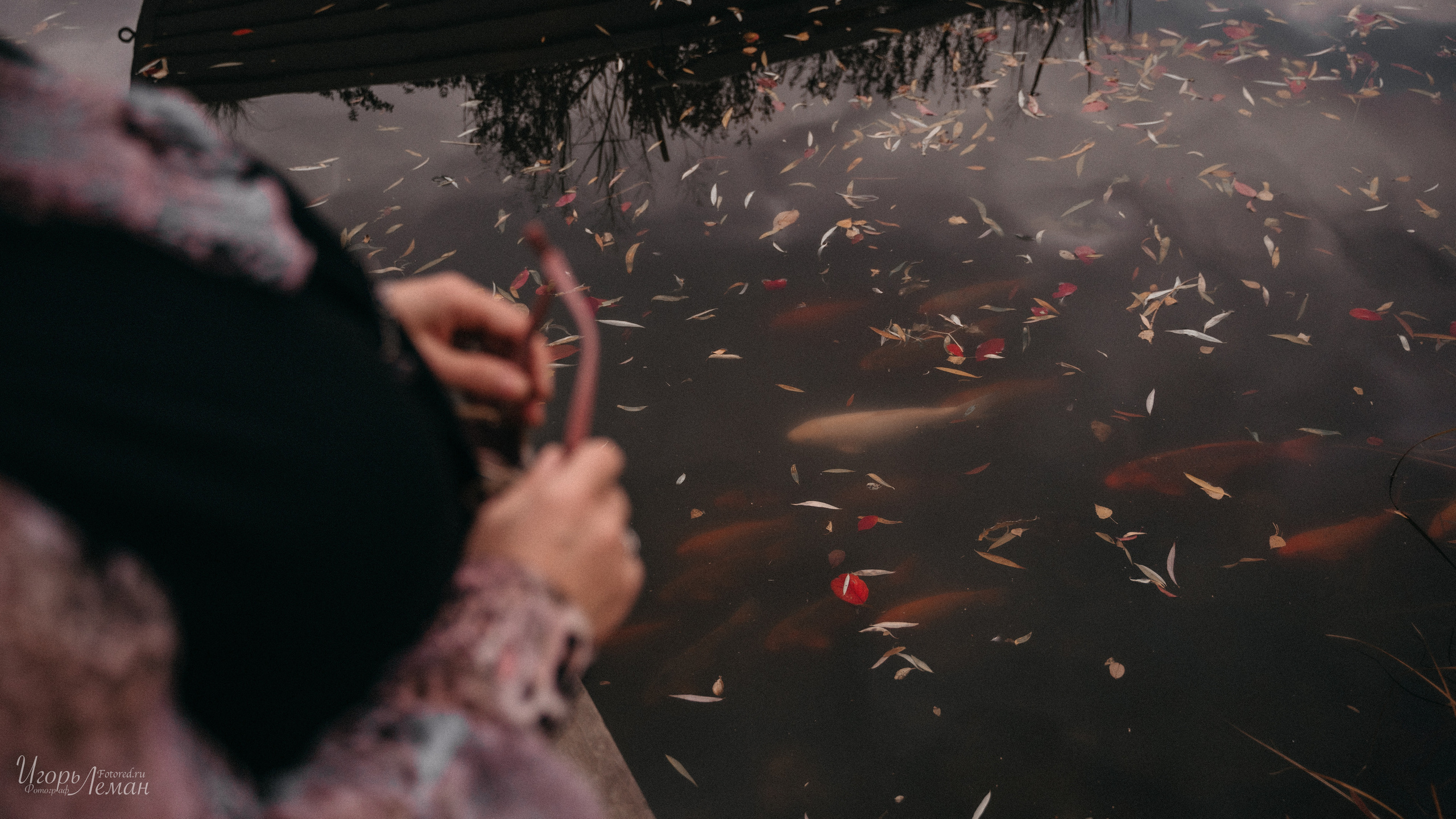 Парк. Свадебный и семейный фотограф Калининград Зеленоградск Светлогорск Леман Игорь