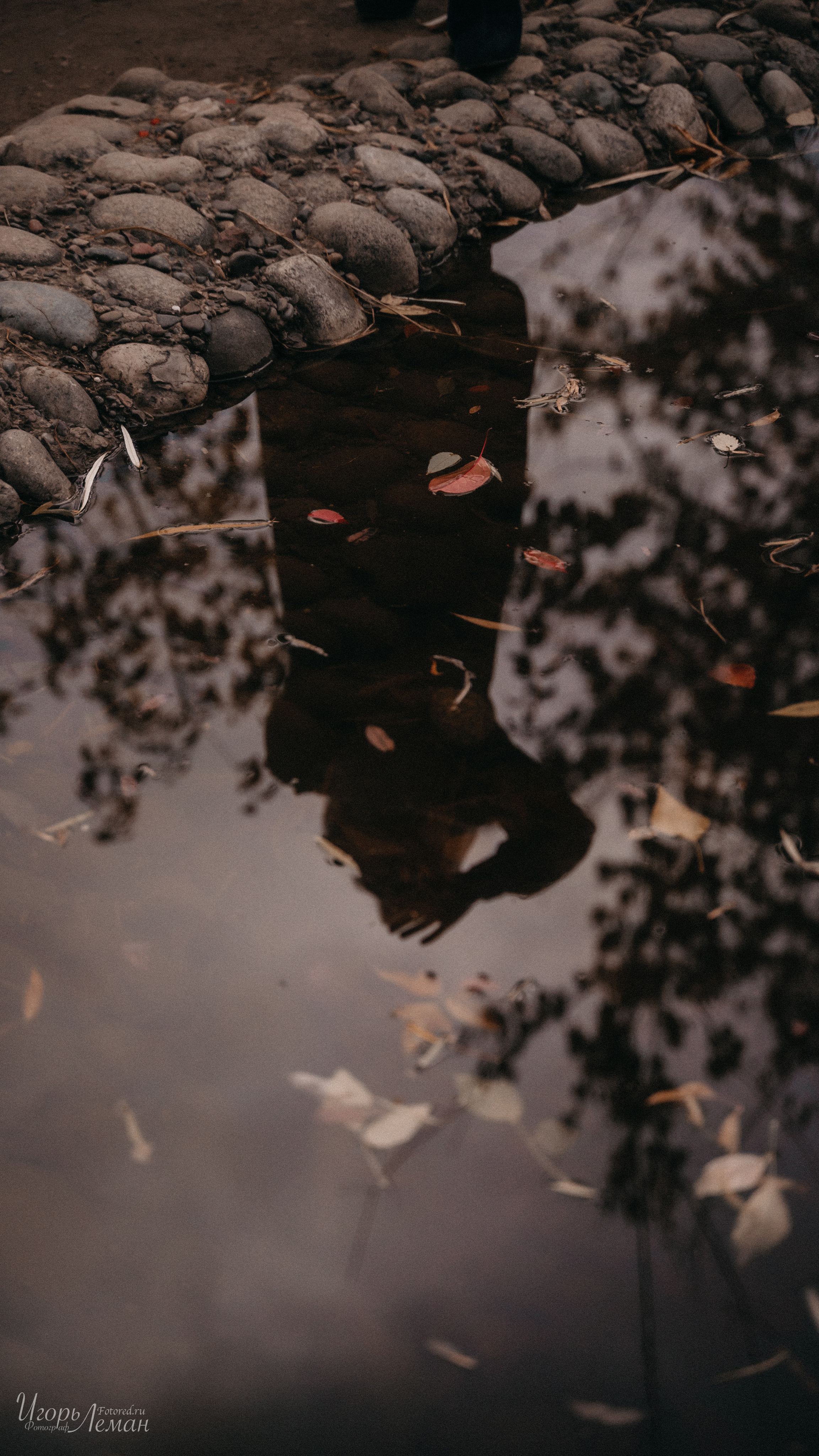 Парк. Свадебный и семейный фотограф Калининград Зеленоградск Светлогорск Леман Игорь