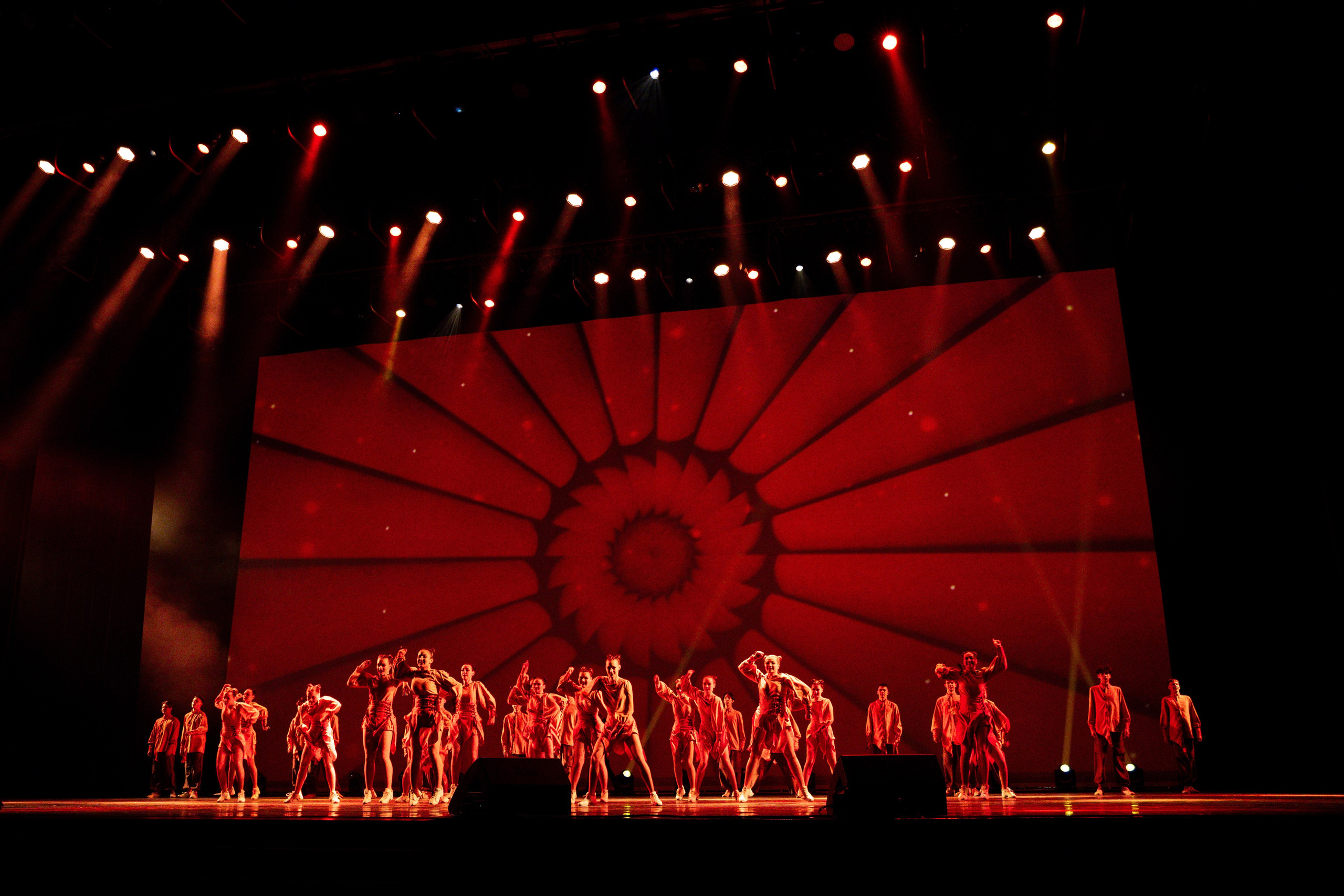 Премия в Кремле «Новые имена». Фотограф Ирина Красса