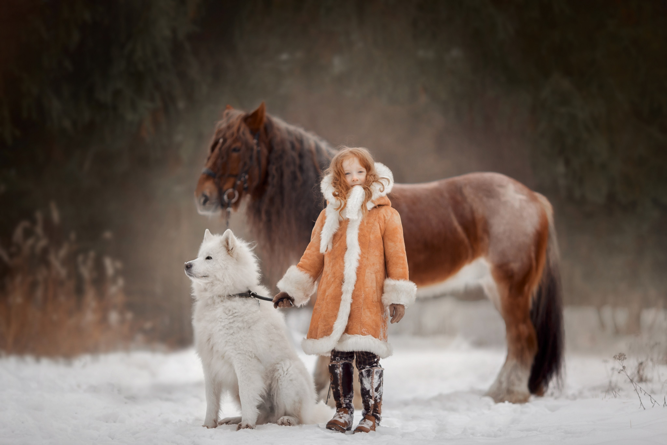 Детская конная съёмка. Детская Конная фотография в Москве Юлия Шепелева