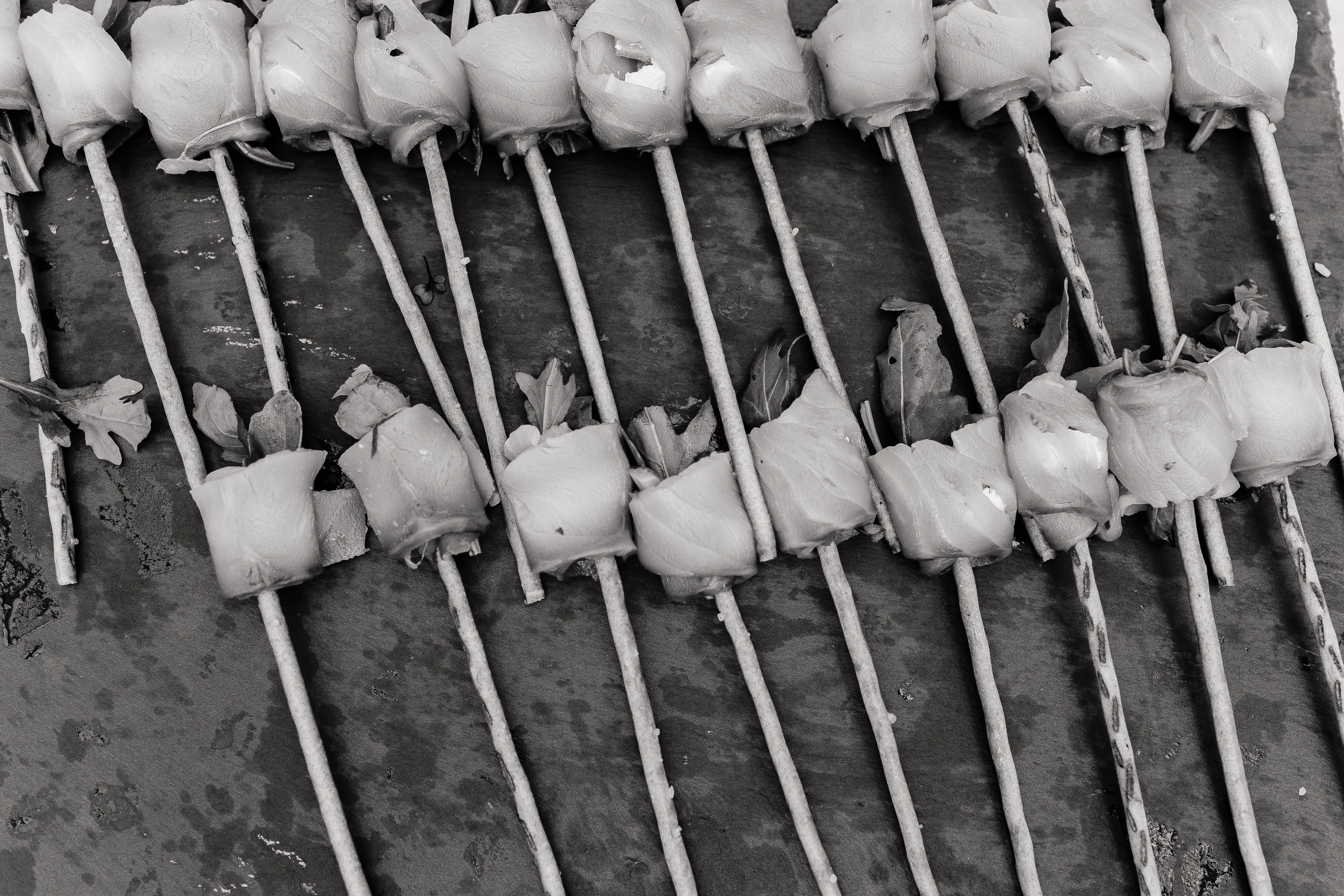 Оля и Данил. Семейный свадебный фотограф Семен Егоров