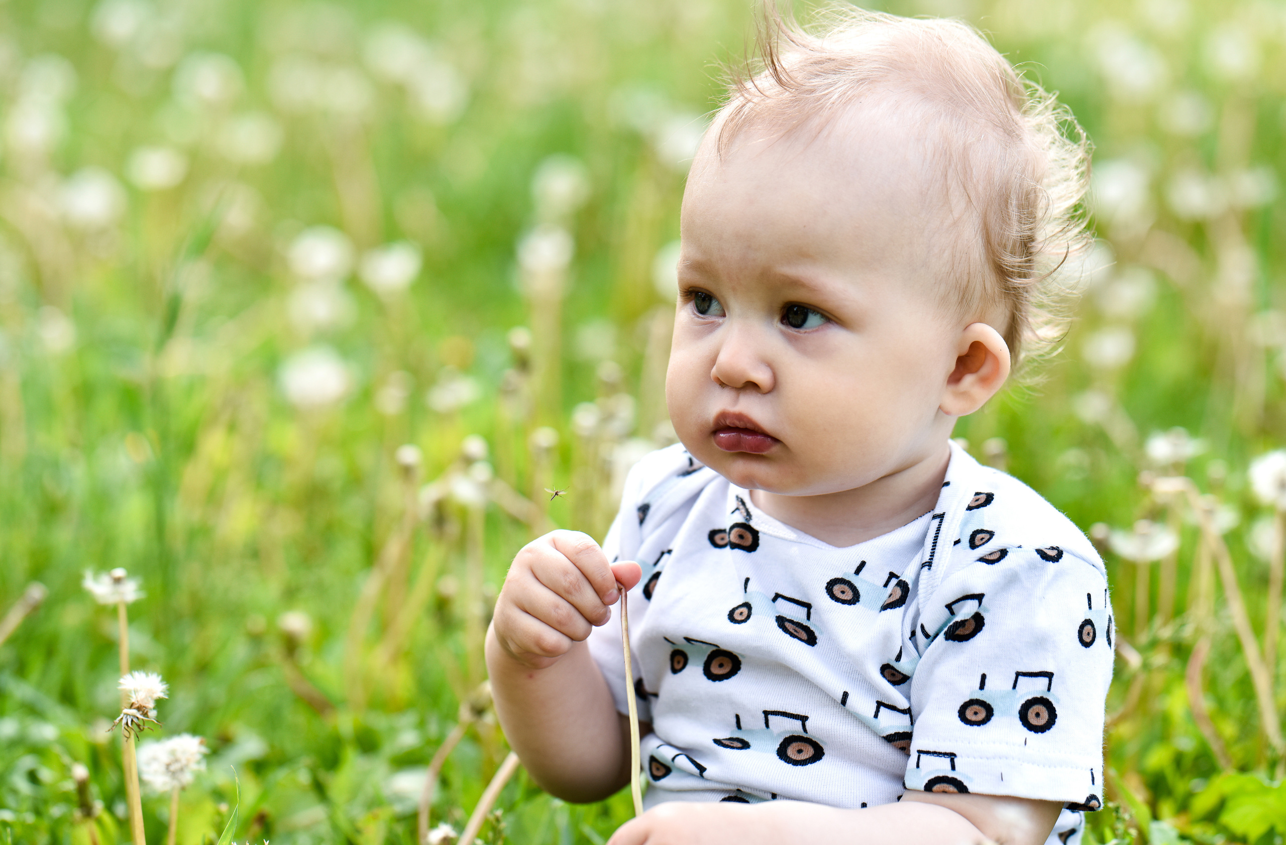 Семья Насти