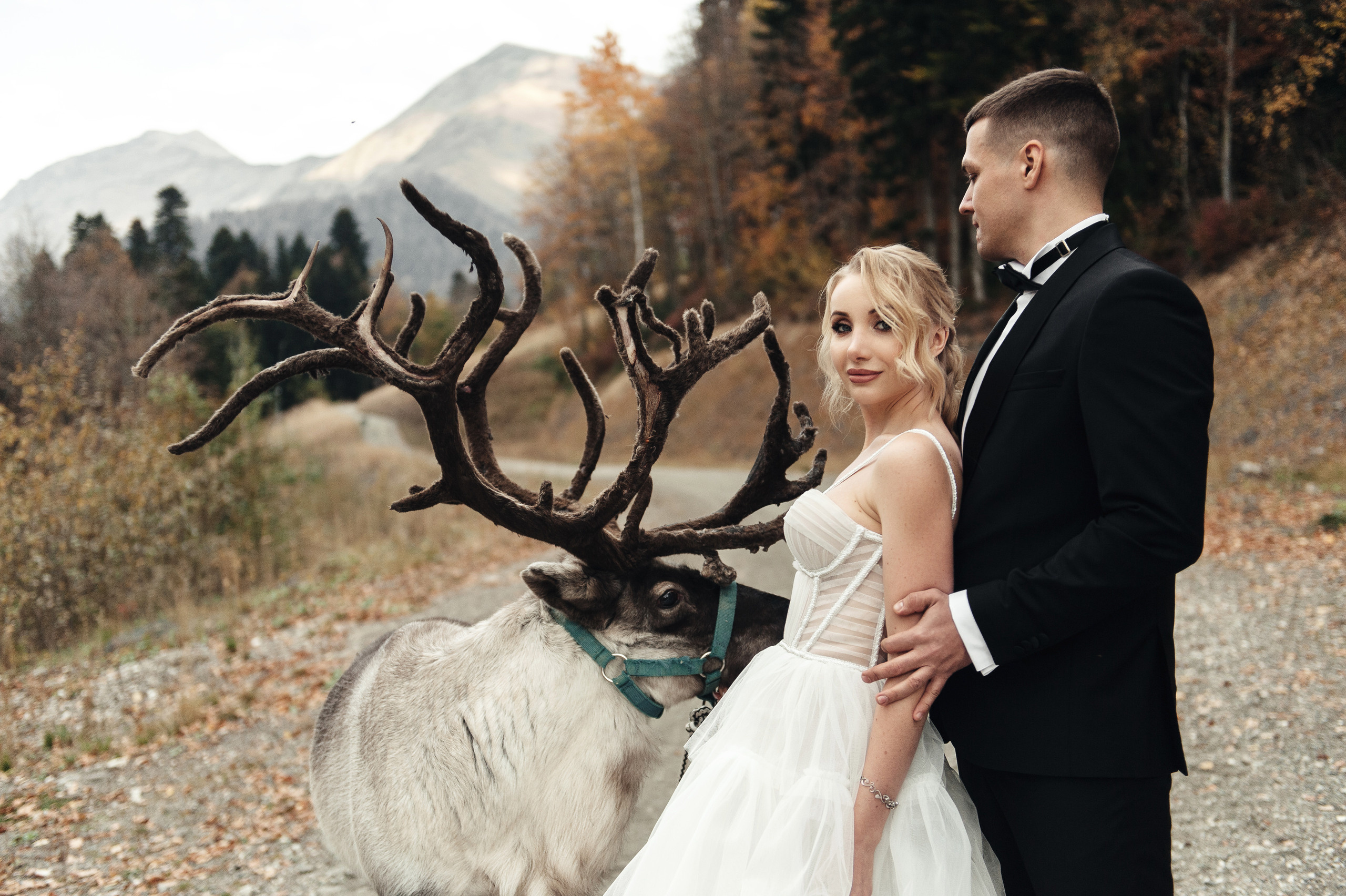 Станислав и Наталья. Свадебный фотограф в Ростове-на-Дону Тарасенко Константин