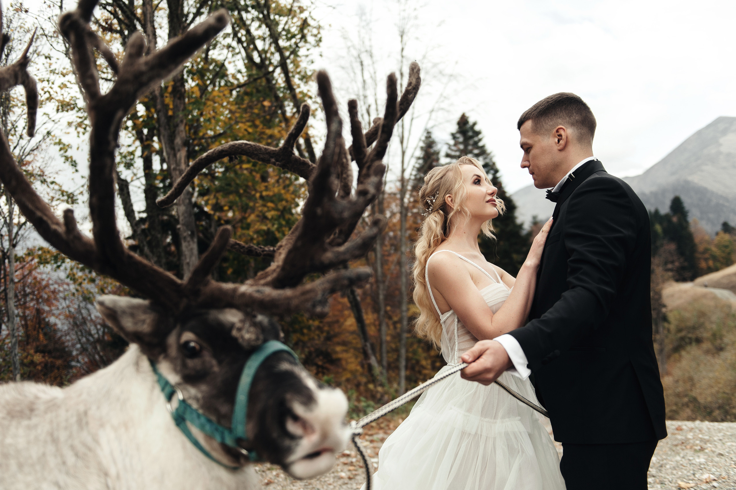 Станислав и Наталья. Свадебный фотограф в Ростове-на-Дону Тарасенко Константин