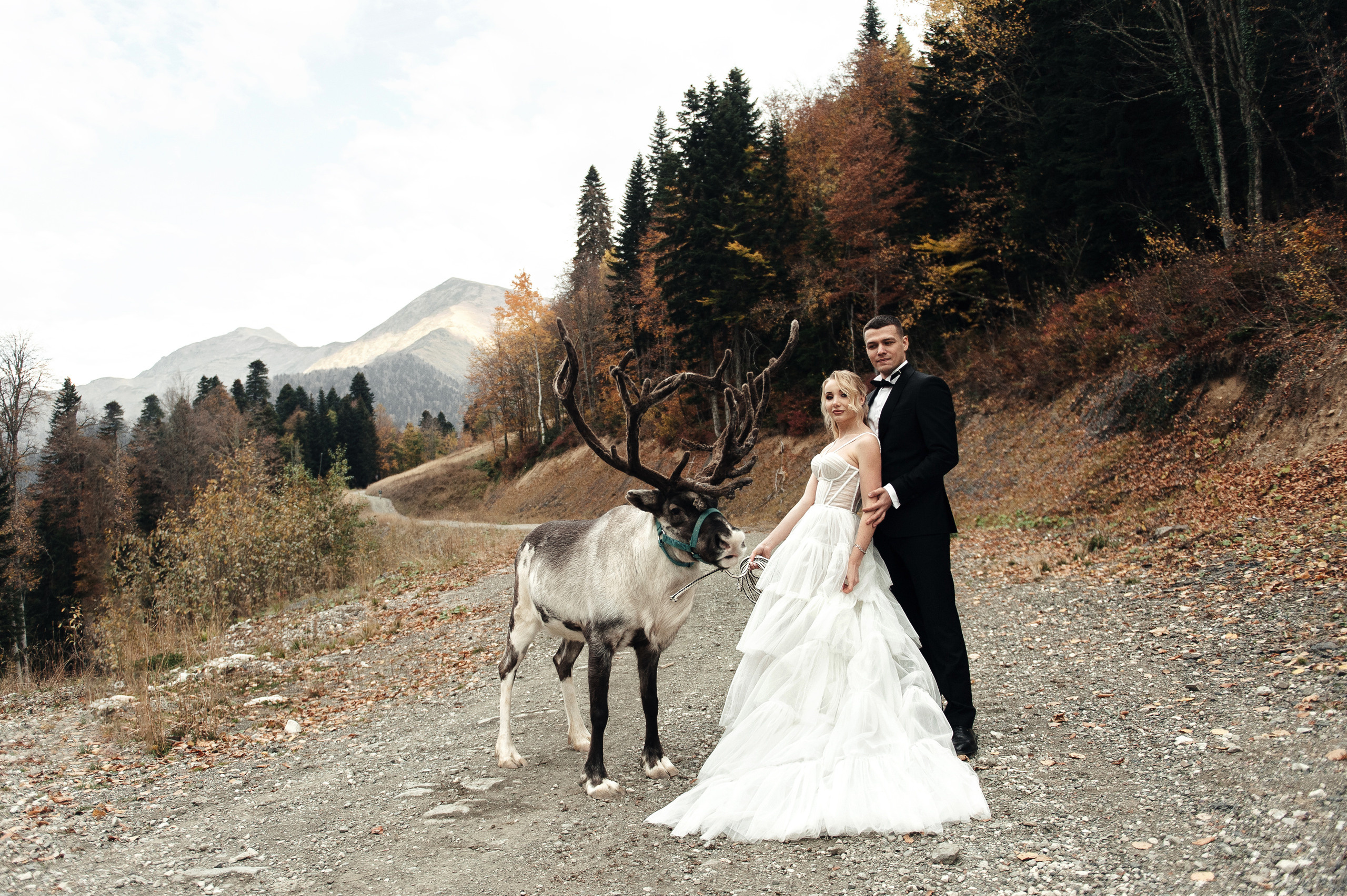 Станислав и Наталья. Свадебный фотограф в Ростове-на-Дону Тарасенко Константин