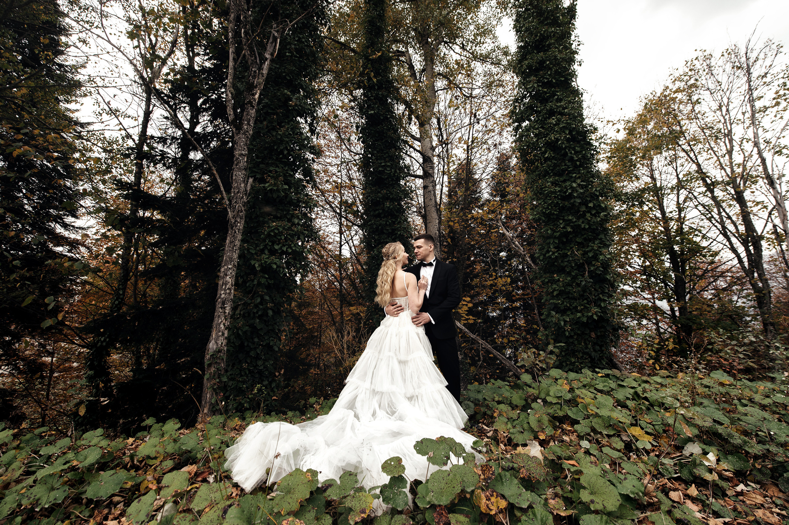 Станислав и Наталья. Свадебный фотограф в Ростове-на-Дону Тарасенко Константин