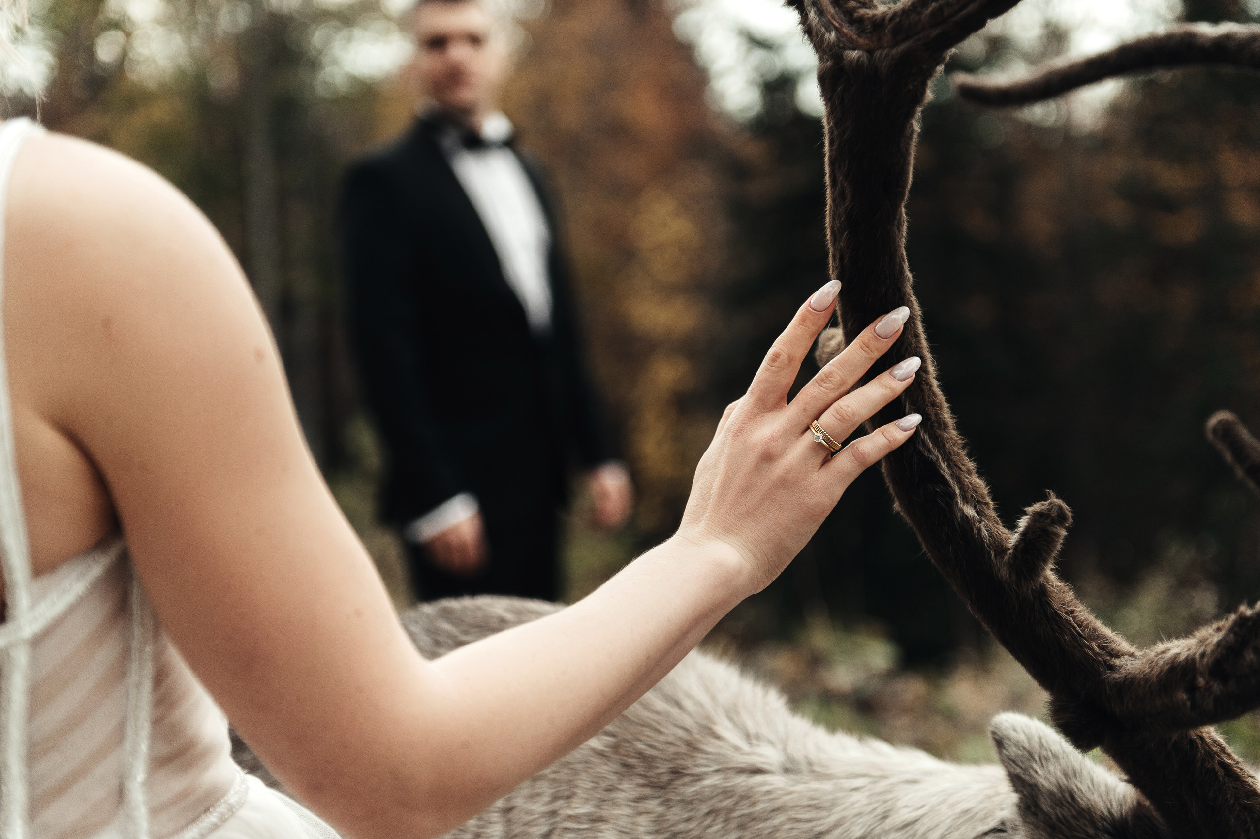 Станислав и Наталья. Свадебный фотограф в Ростове-на-Дону Тарасенко Константин